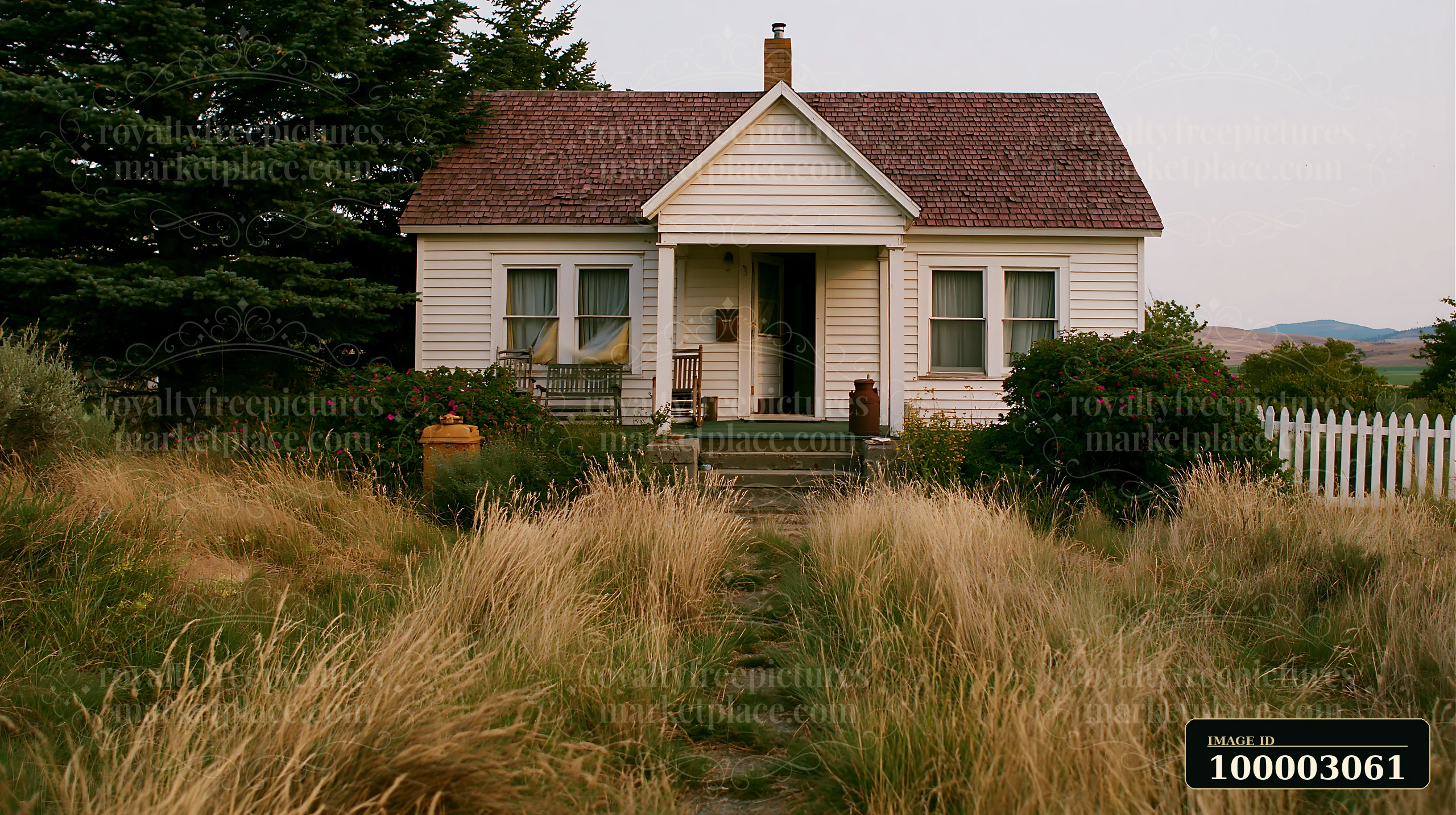 A country house with open front door stands in a field of tall grass.