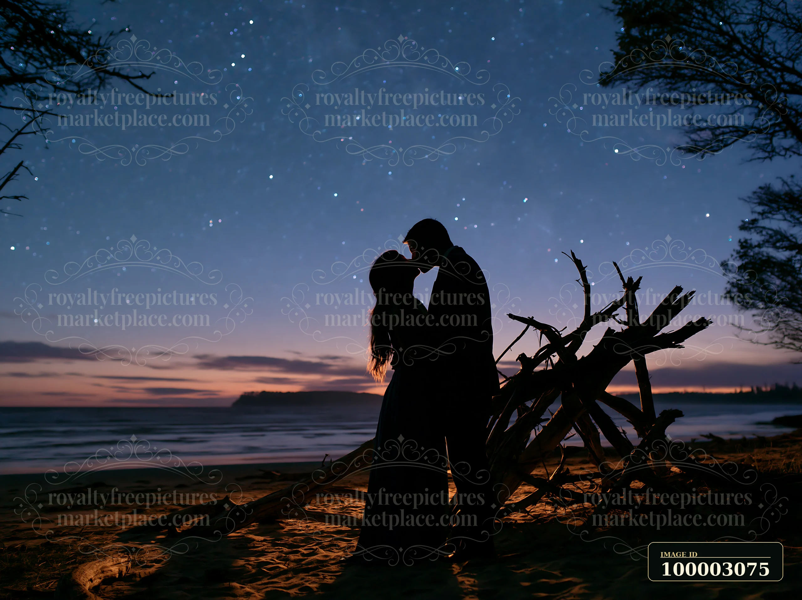 A couple shares a kiss on a beach under a starry sky at twilight.
