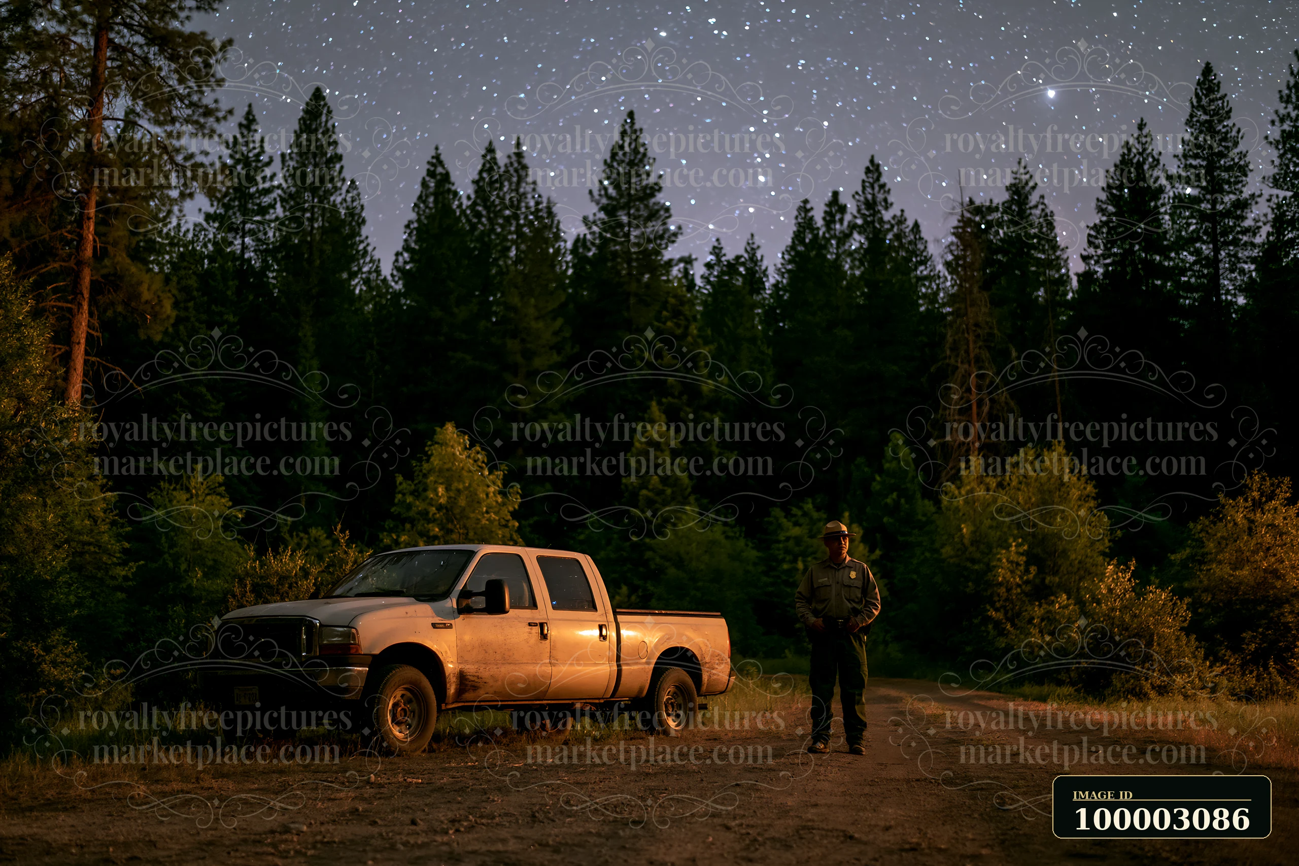 A person stands beside a pickup truck on a dirt road in a pine forest under a starry night sky.