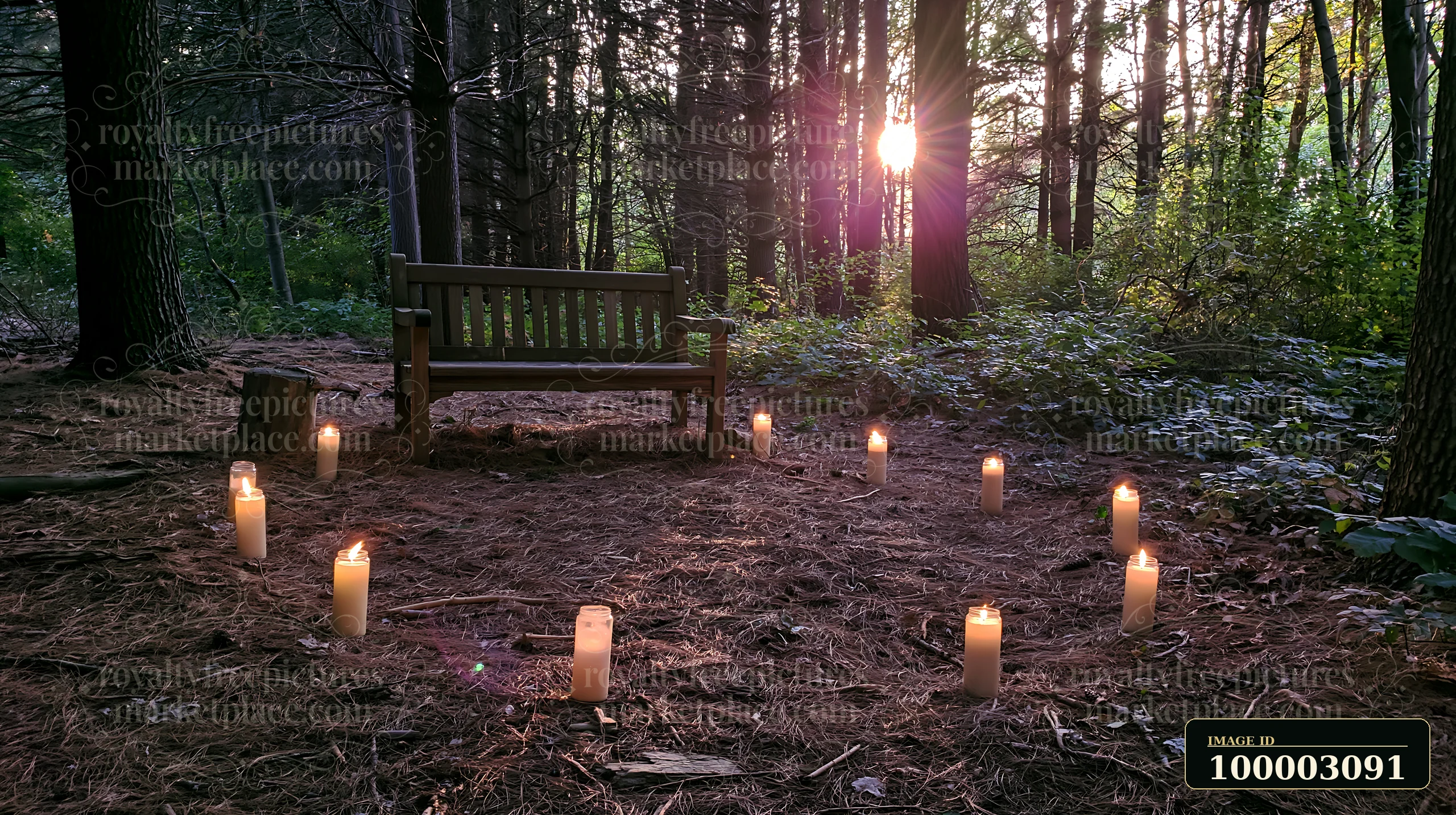 Candles arranged in a circle illuminate the forest floor near a wooden bench.