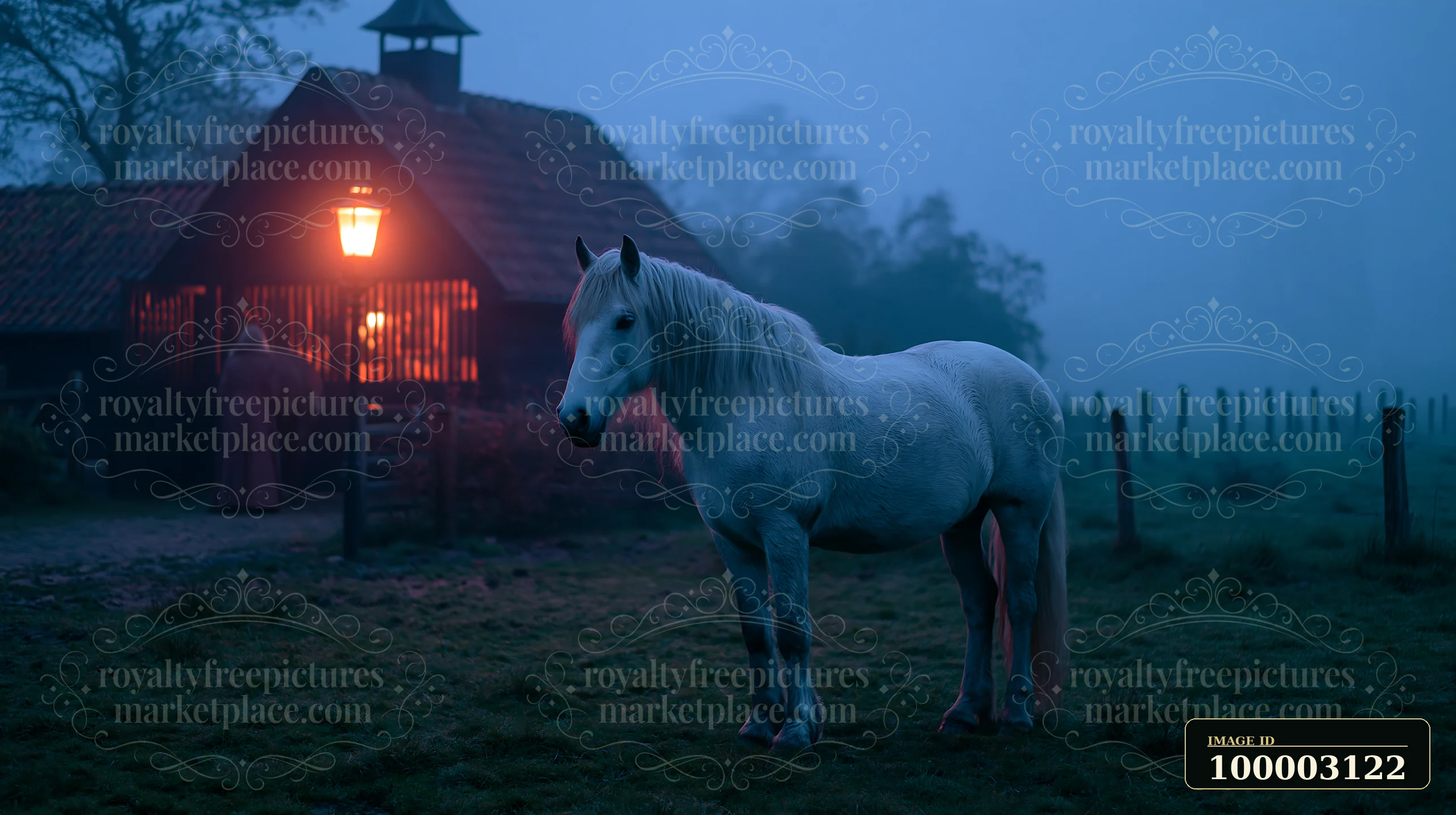 A white horse stands near a stable, softly illuminated by a lantern.