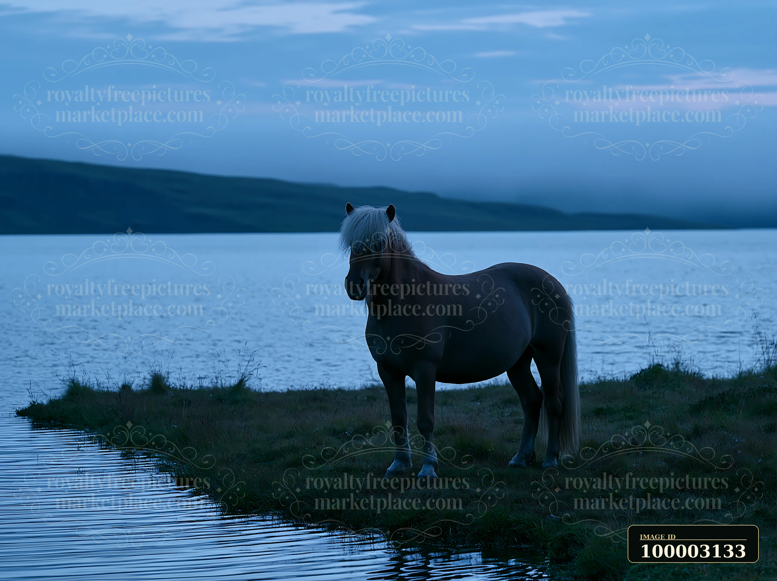 Wild horses are standing near a lake at night, with soft light reflecting off the water.