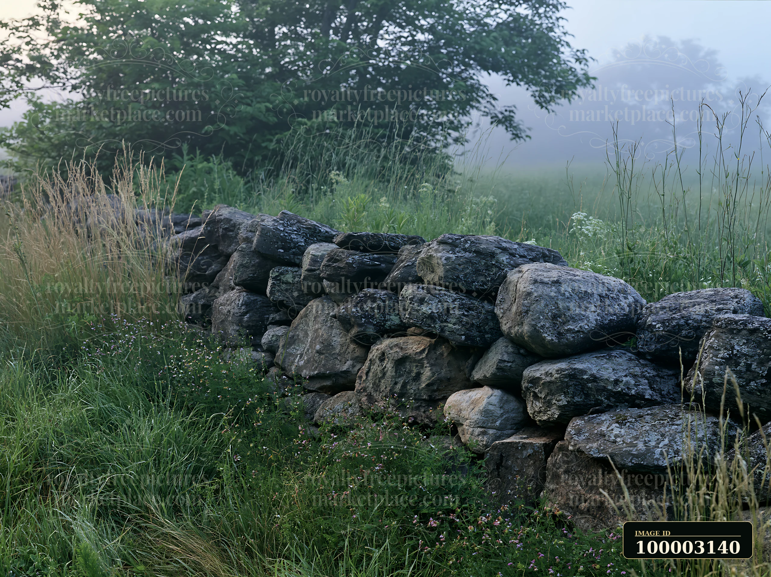 A stone wall sits in a meadow in morning mist with tall grass surrounding it.