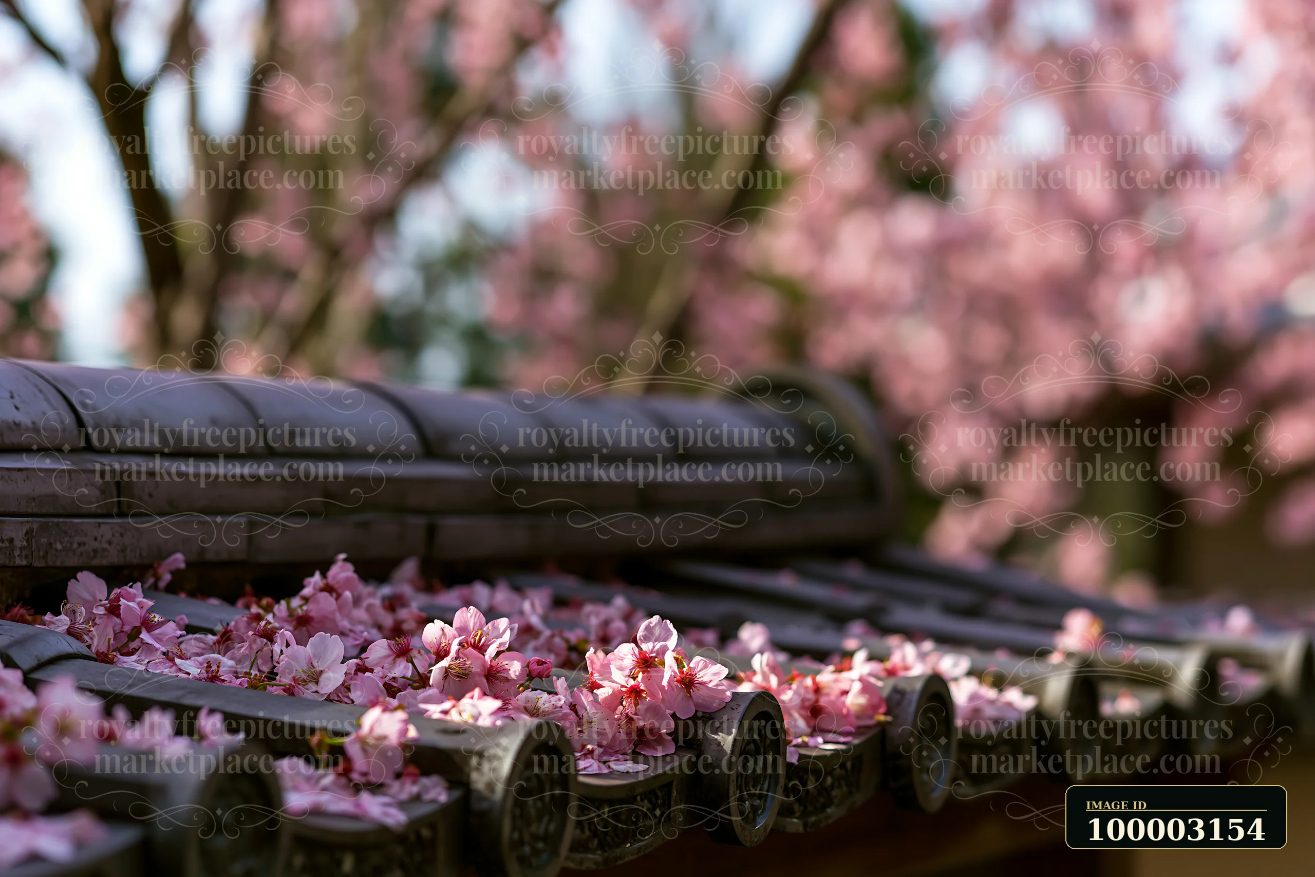 Cherry blossoms fall on the roof tiles of a traditional Japanese temple, while blooming trees create a vibrant backdrop.