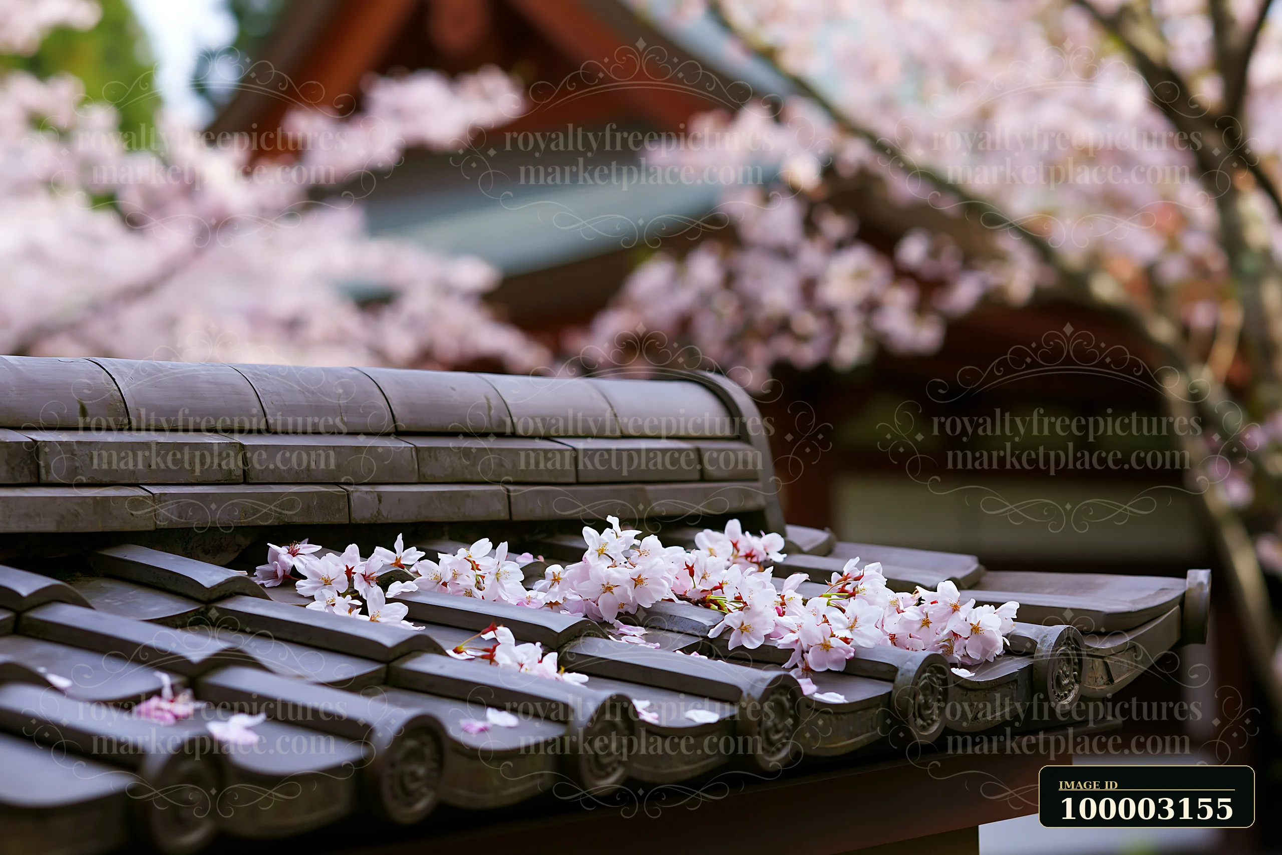 Cherry blossoms cover the roof of a traditional Japanese temple as soft petals fall in spring.