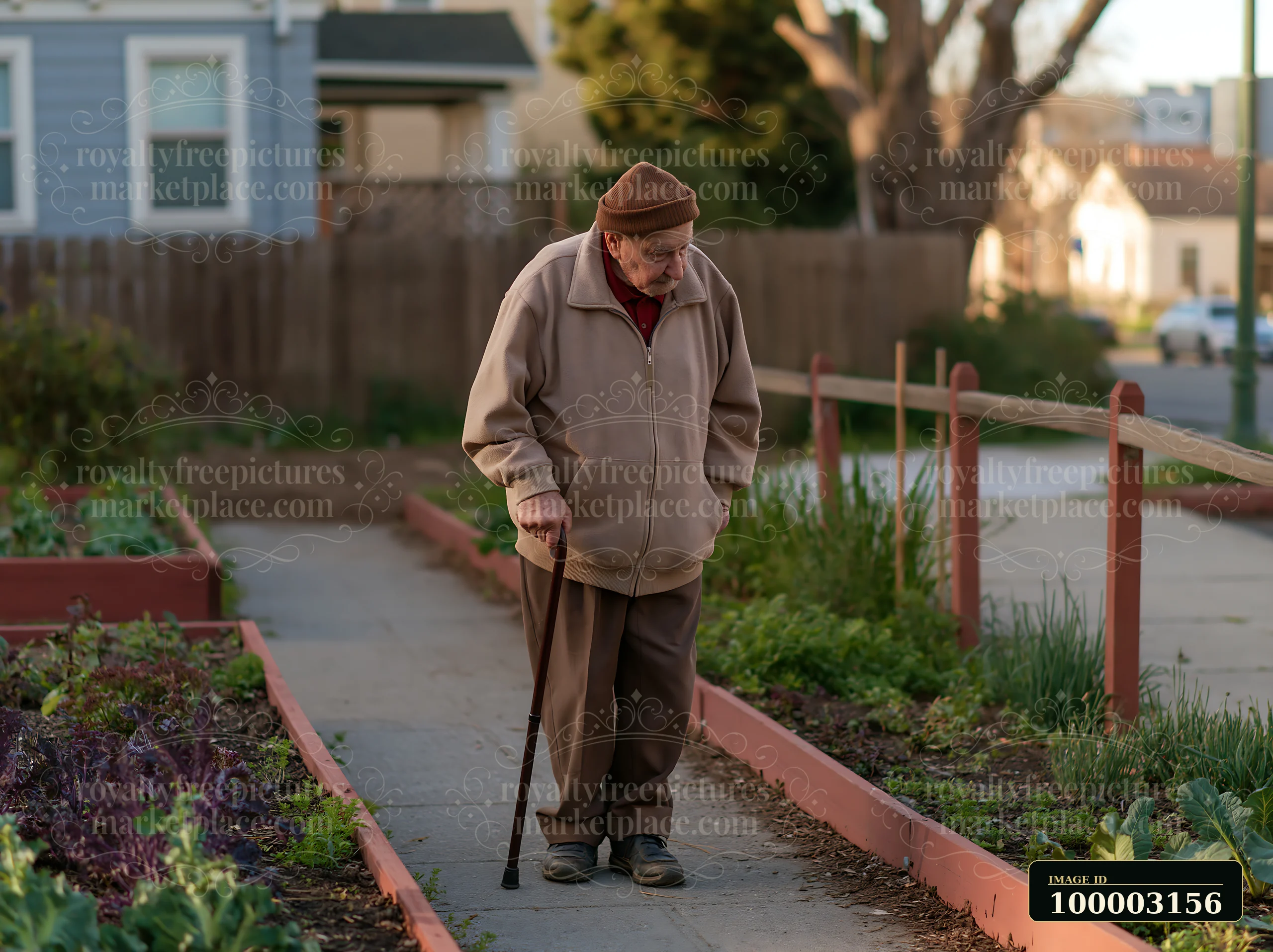 An older adult with Parkinson's disease walking with a cane on a path surrounded by garden beds.