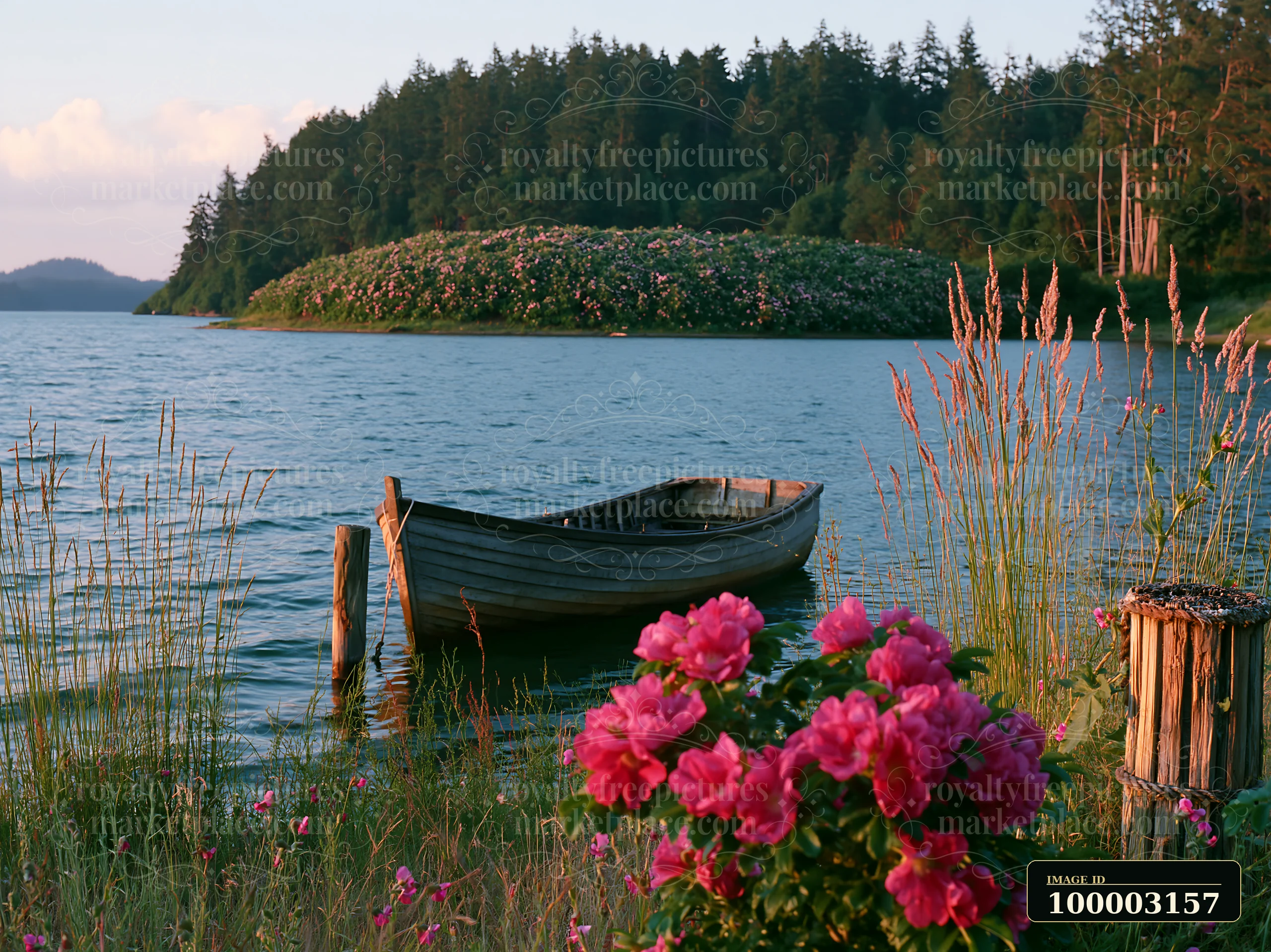 A small boat is tied near the shoreline of a lake with an island covered with sweet peas in the background.