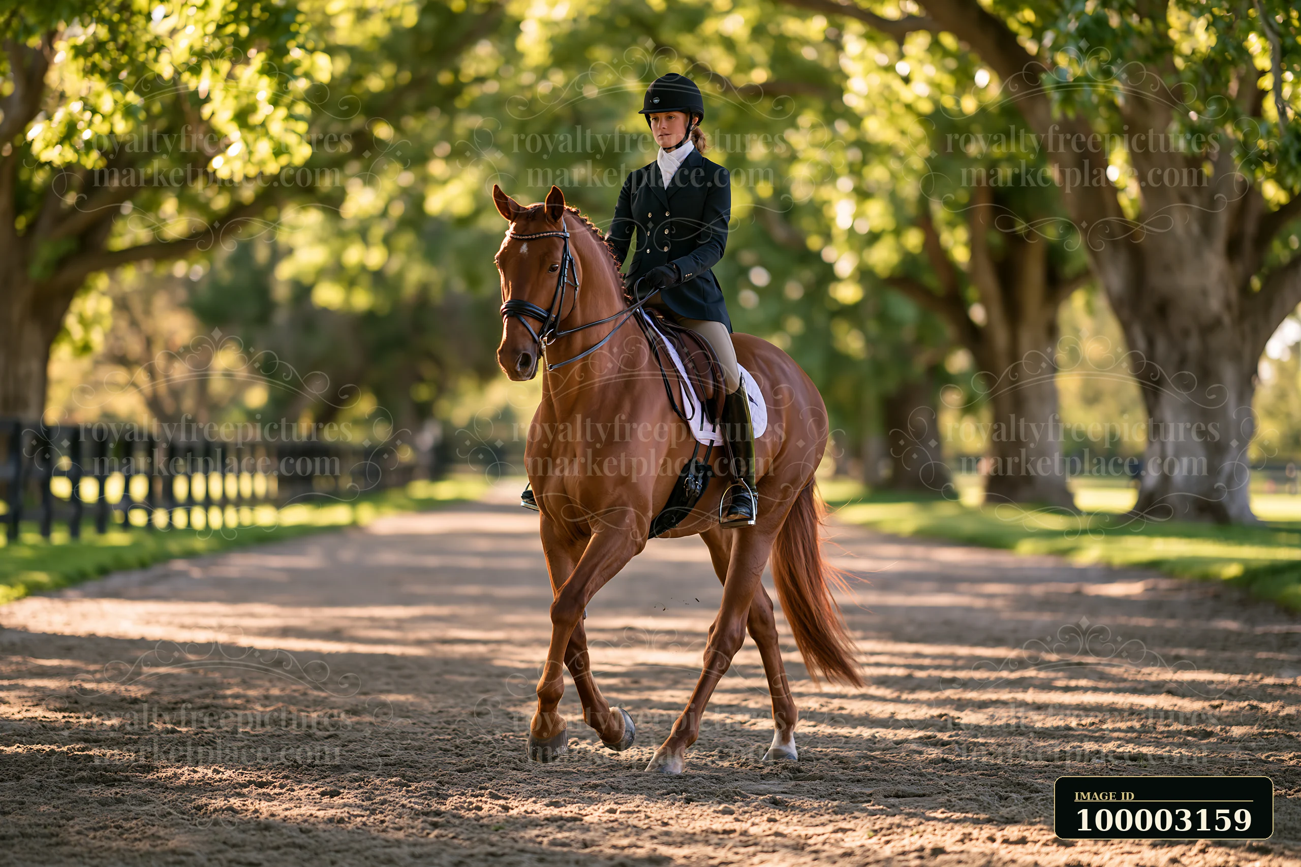 A horse and rider are practicing dressage in a training area surrounded by trees.