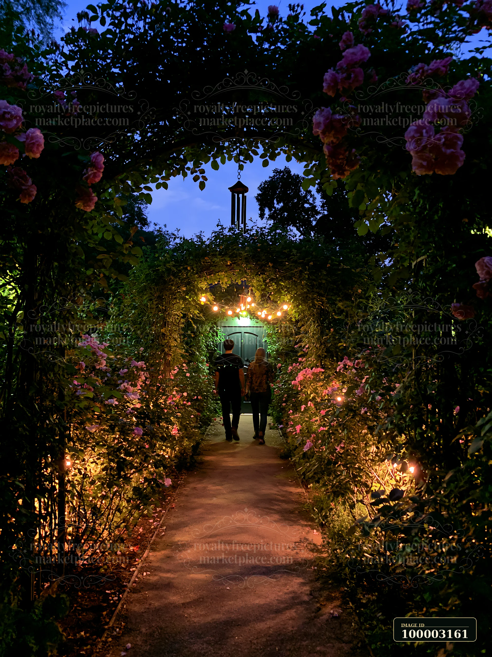 A couple walking away through rose garden under stars strolls along a path surrounded by blooming roses and soft glowing lights in a tranquil setting.