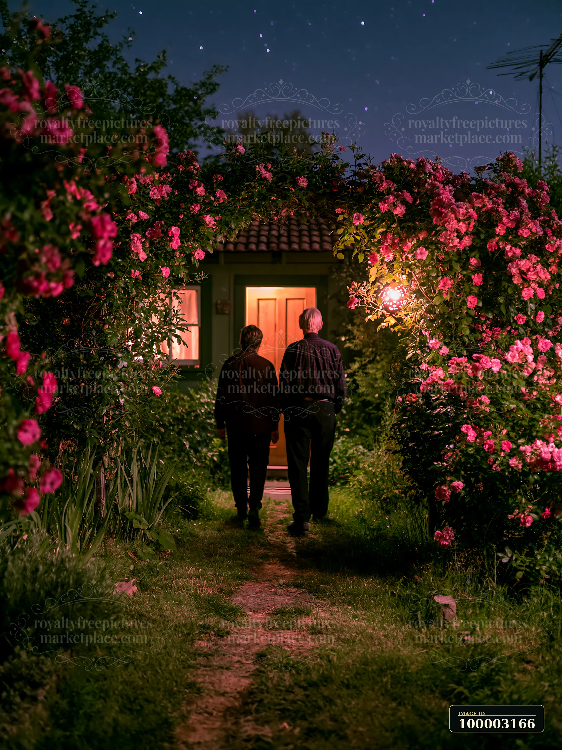 A couple walks away hand in hand through a rose garden at night.