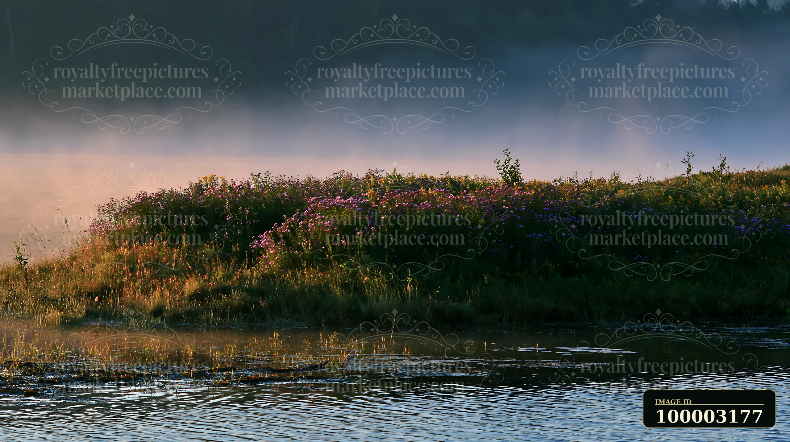 Morning mist surrounds an island filled with colorful flowers by the water.