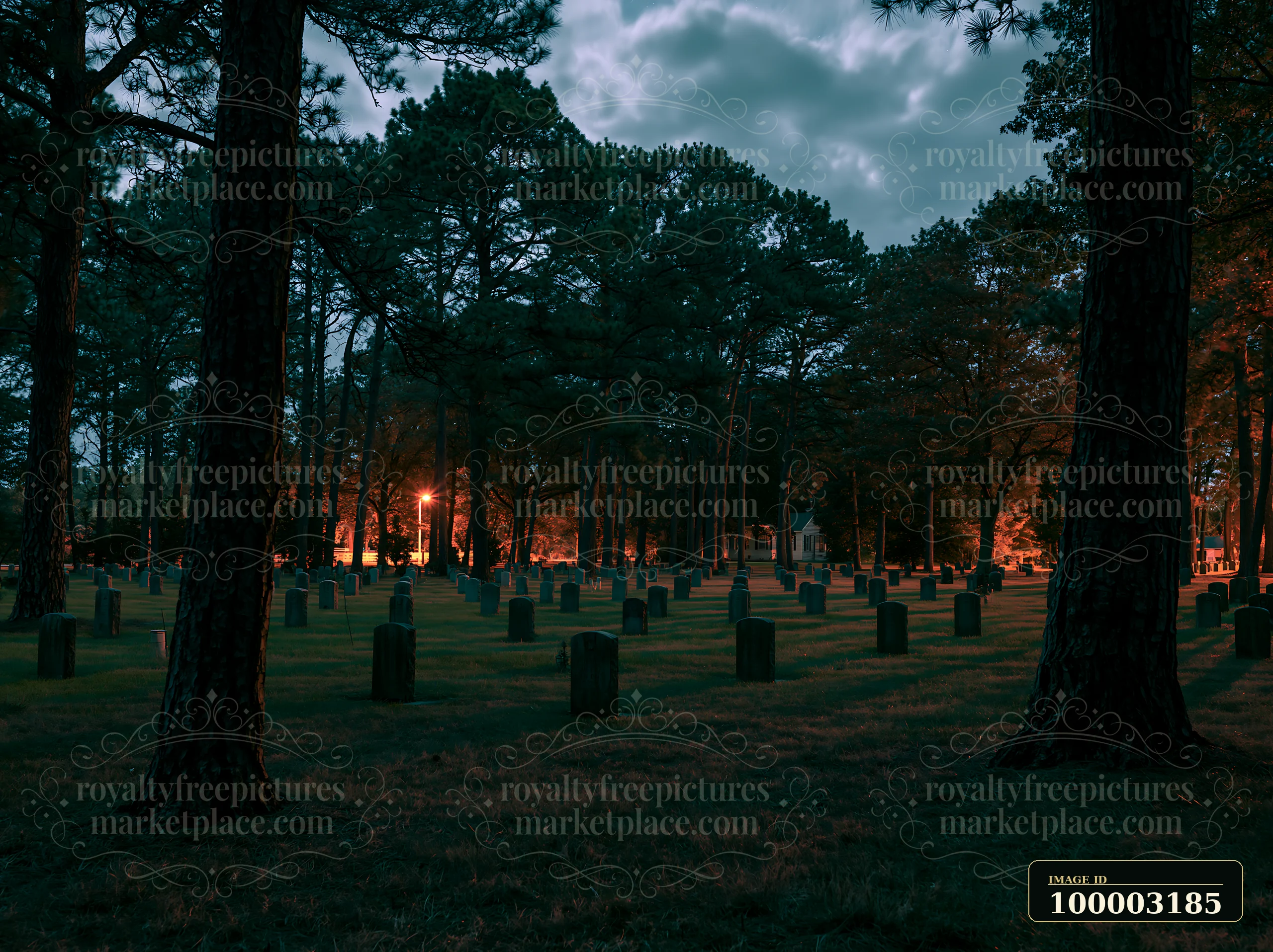 A night landscape of a veterans cemetery shows gravestones surrounded by trees.