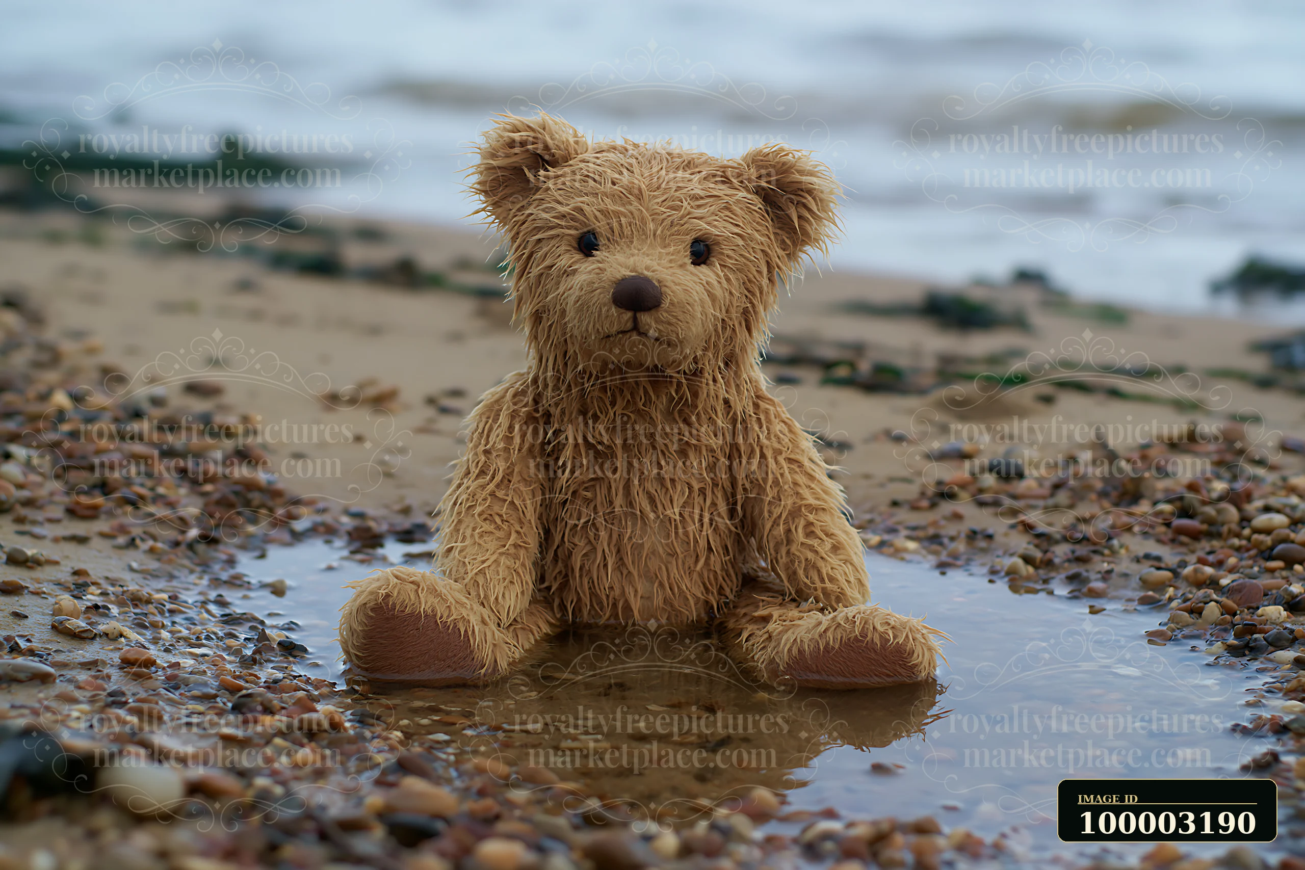 A teddy bear washed up in shallow puddle on a sandy beach near the sea.