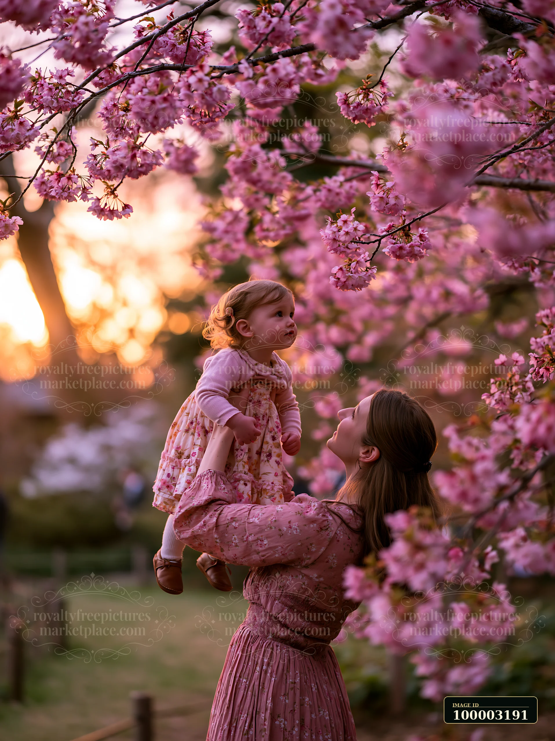 A woman lifts her child while viewing cherry blossoms in Japan at sunset.