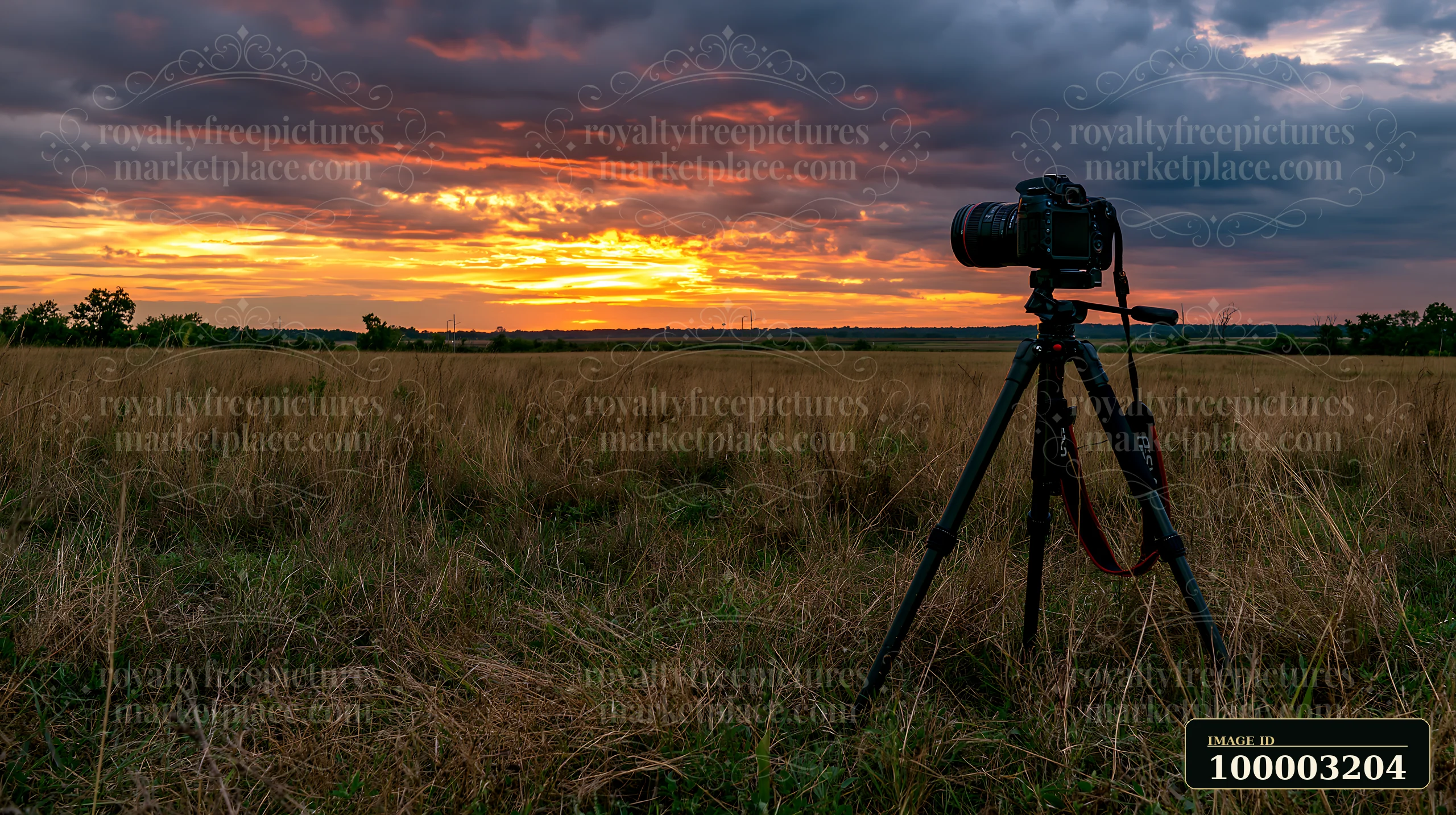 A camera on tripod facing a meadow under a colorful sky at sunset.