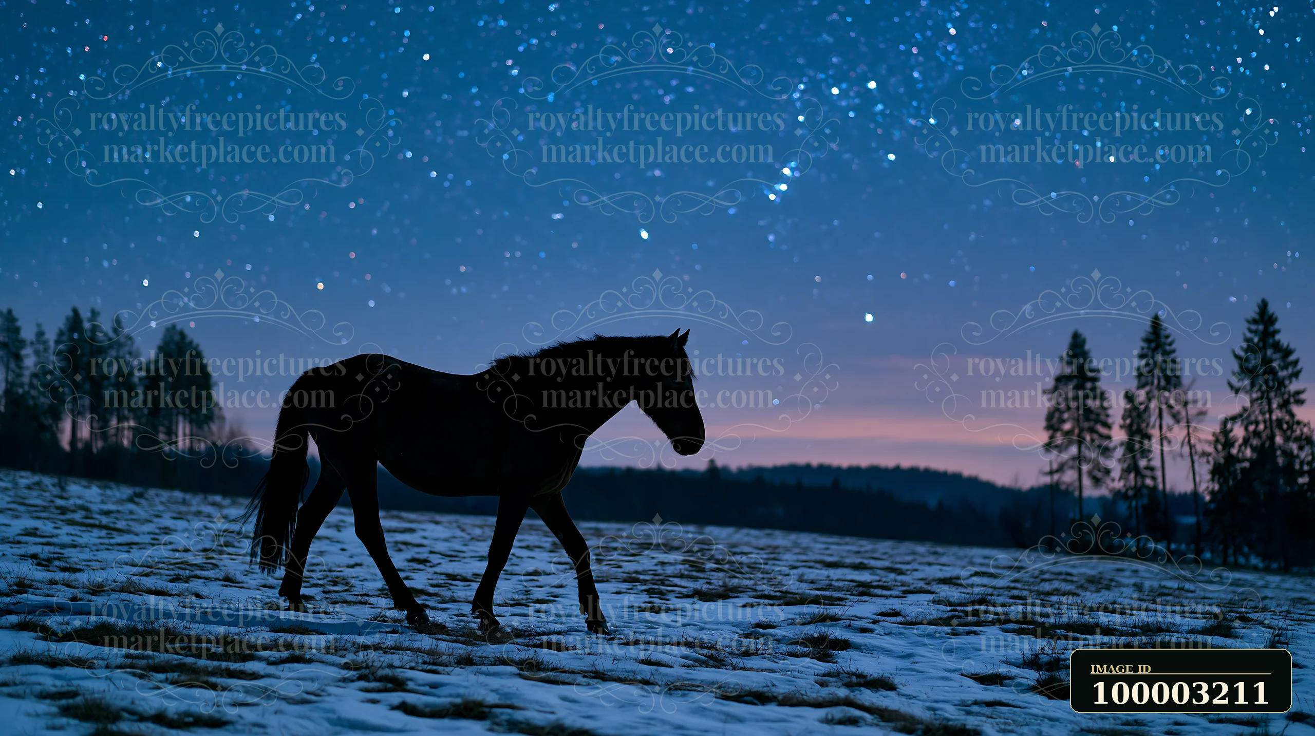 A horse walks through a snowy field under a starry sky.