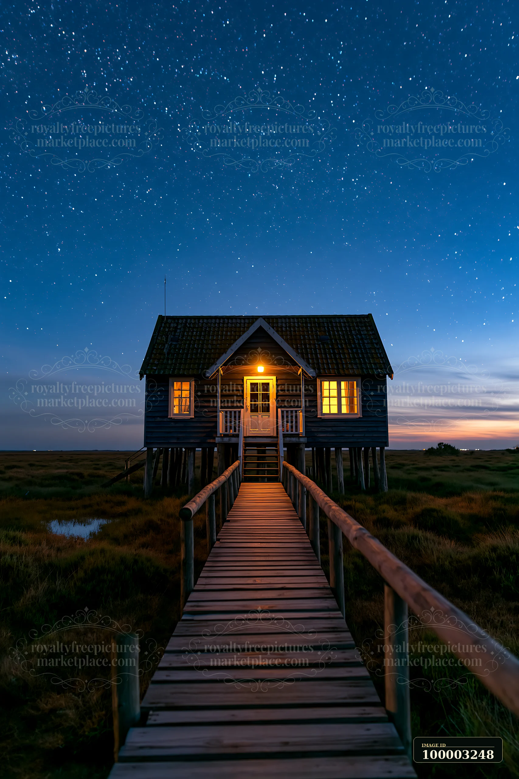 A house stands on stilts with a lit interior under a starry sky at blue hour.