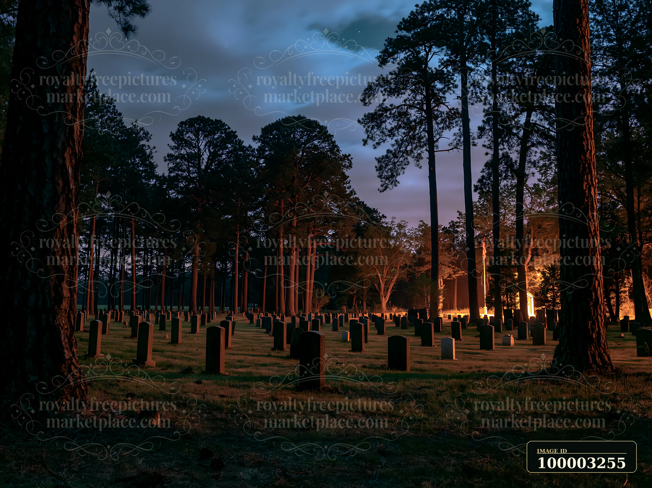 A night landscape of a veterans cemetery shows gravestones illuminated by soft light.