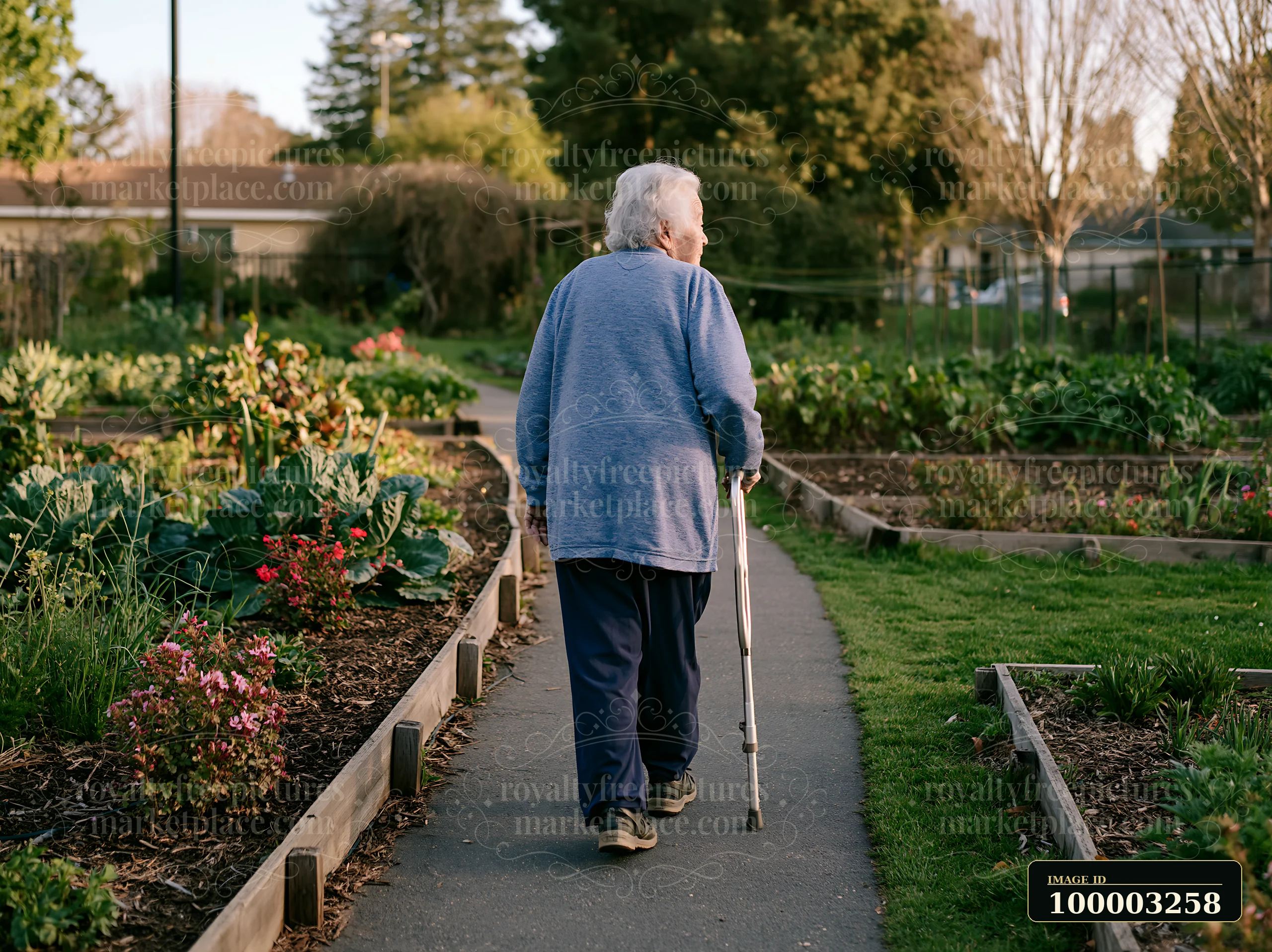 An older adult with Parkinson's disease walking with a cane along a path in a garden.