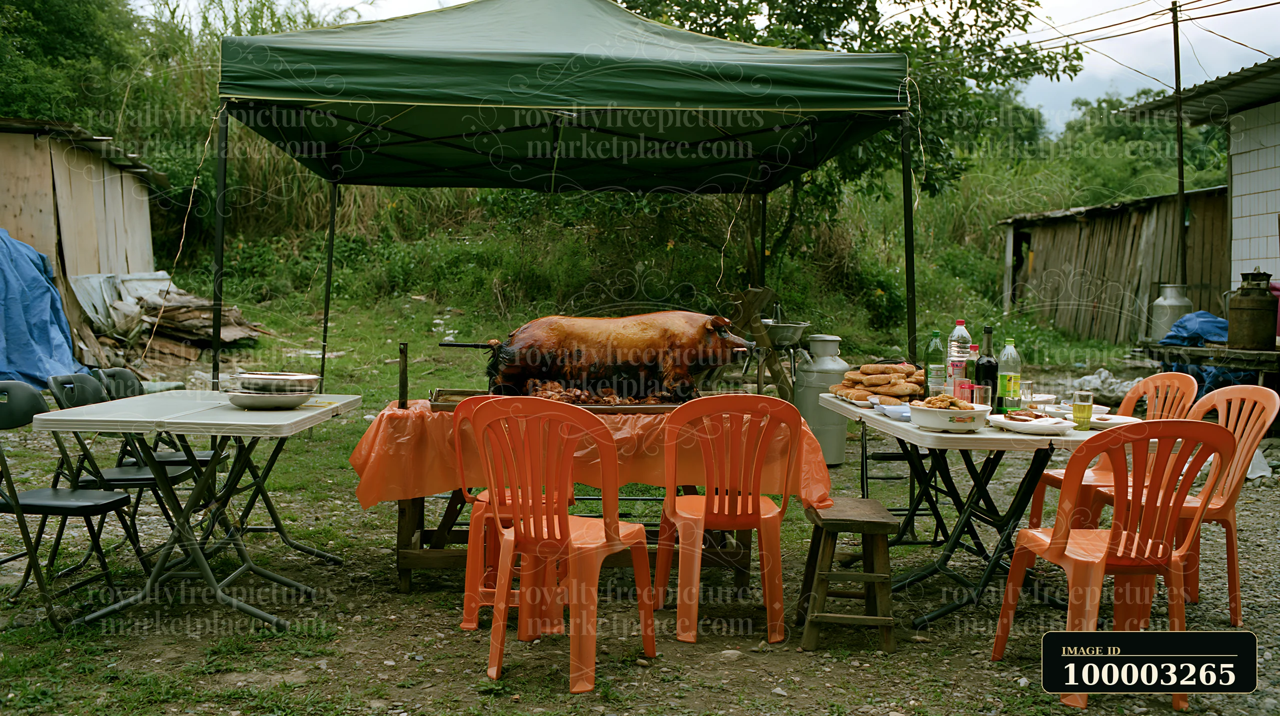 A whole pig prepared for festive dinner sits under a tent outdoors with tables and chairs arranged nearby.