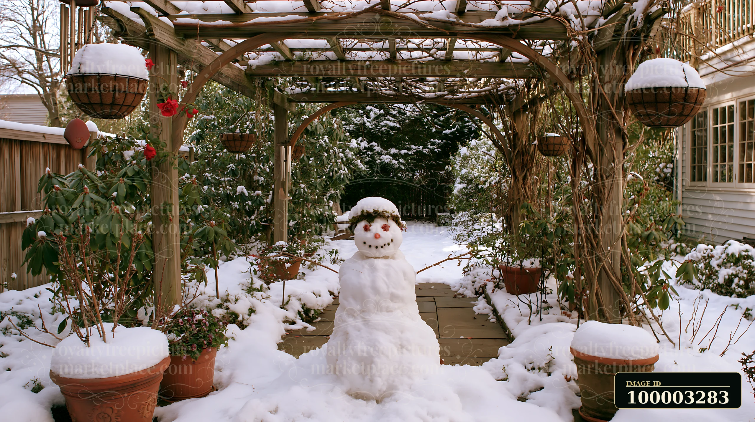A snowman stands in a backyard garden surrounded by snow-covered pots and greenery.