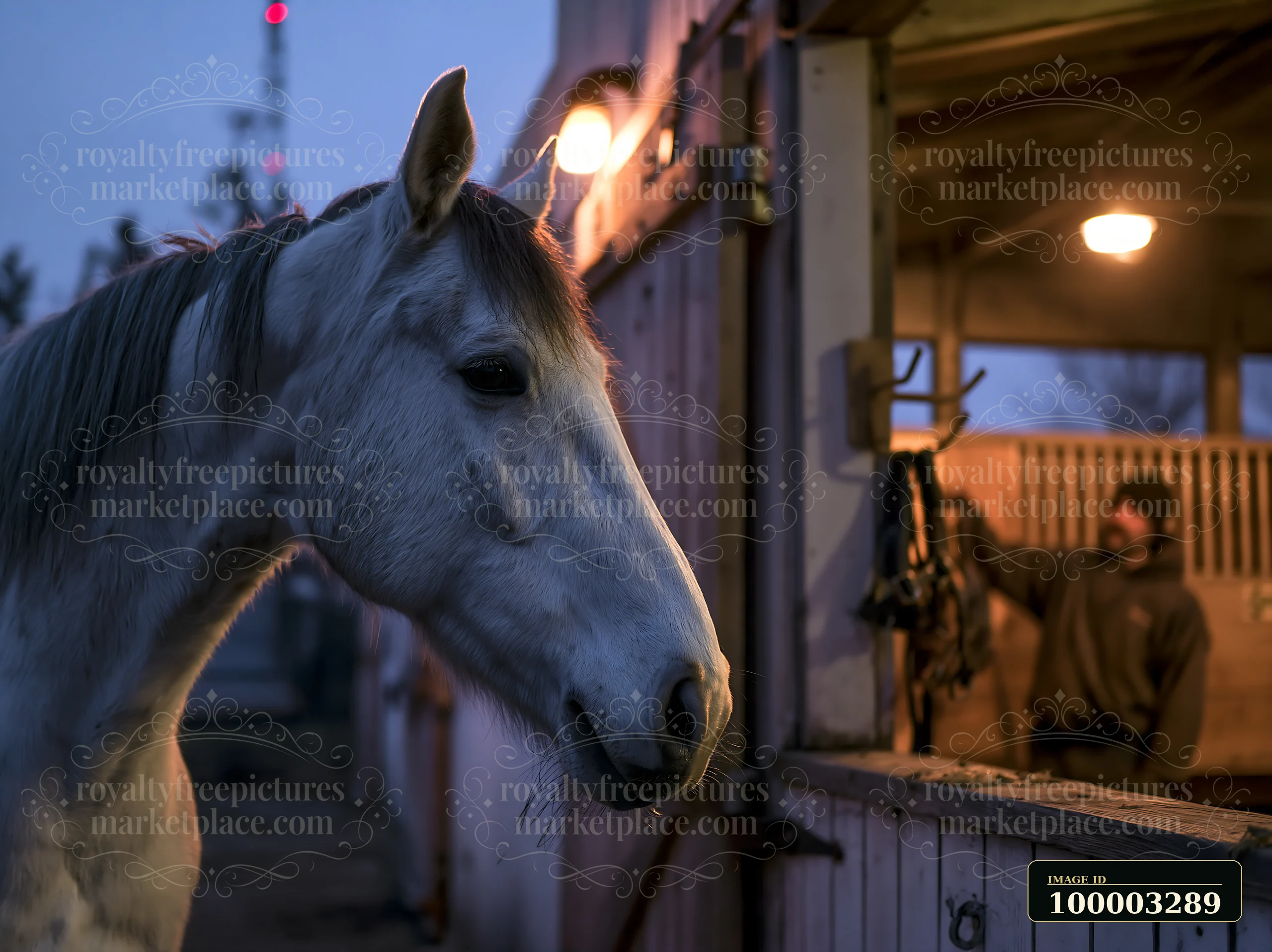 A horse stands near its stable, illuminated by warm lights while a person tends to the surroundings.