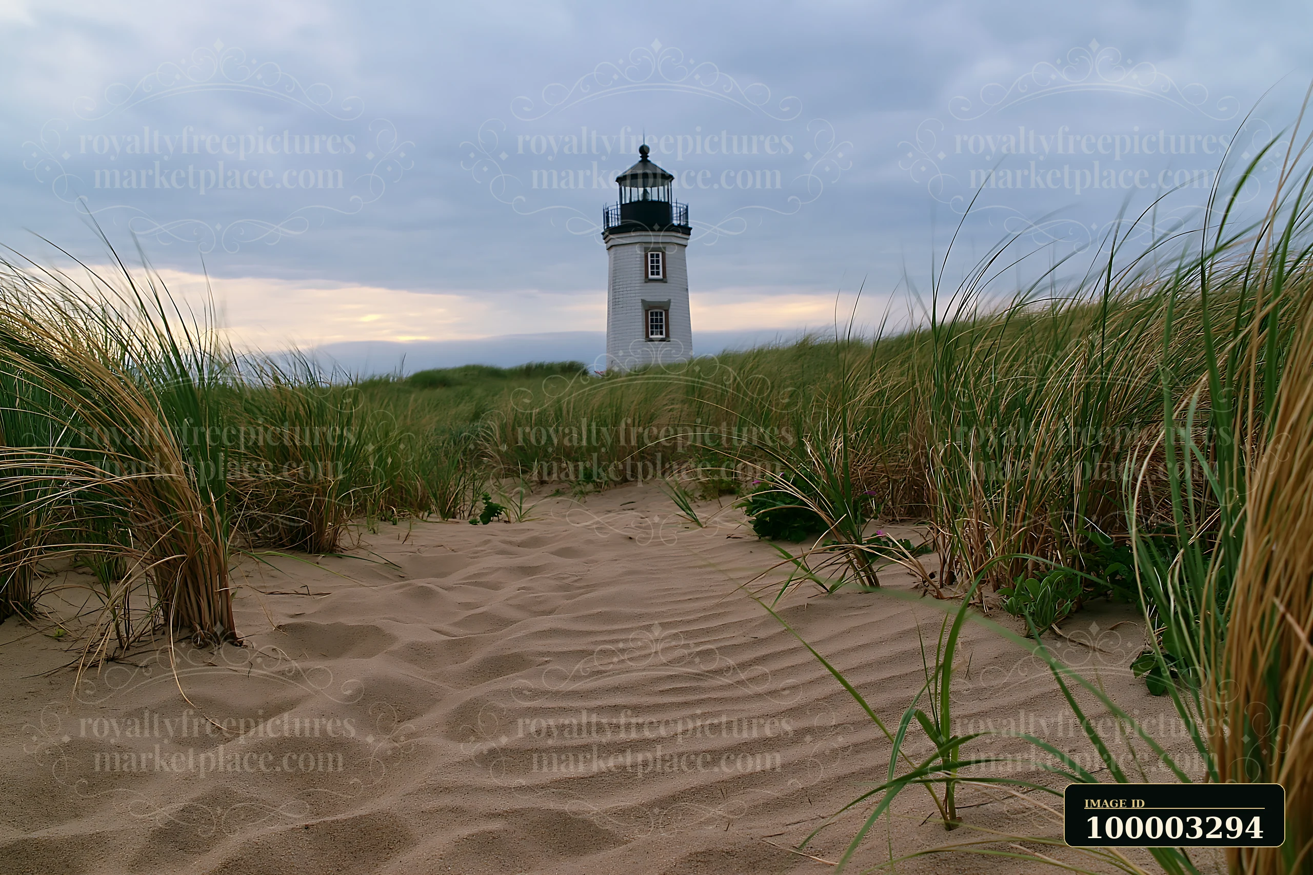 The lighthouse stands tall, surrounded by coastal dunes and tall grass.