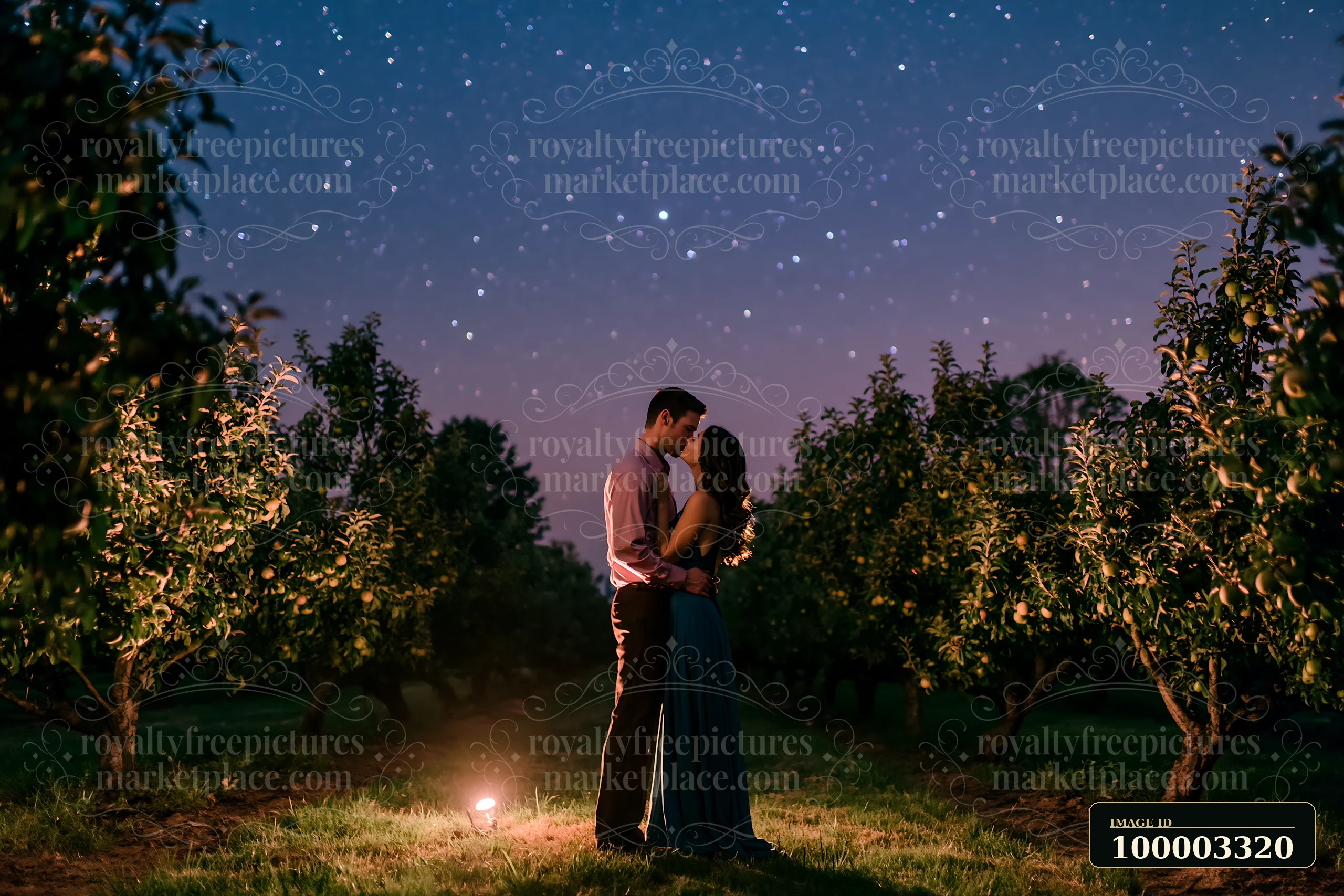 A couple kissing under stars during a romantic date in a peaceful orchard.