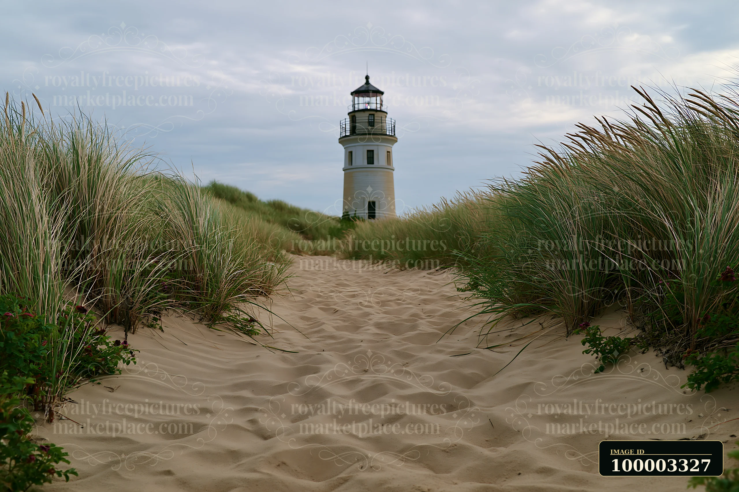 A path leads through tall grass and sand dunes towards a lighthouse.