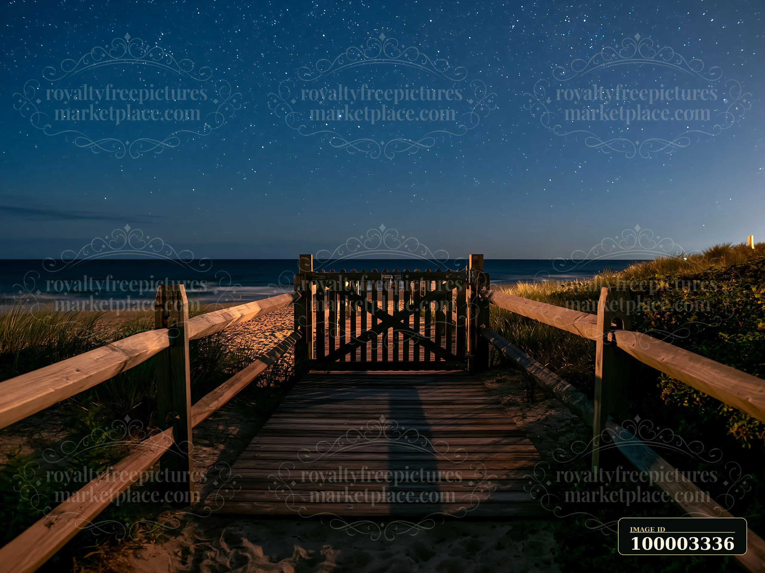 A wooden gate leads to a coastal boardwalk at night under a starry sky.