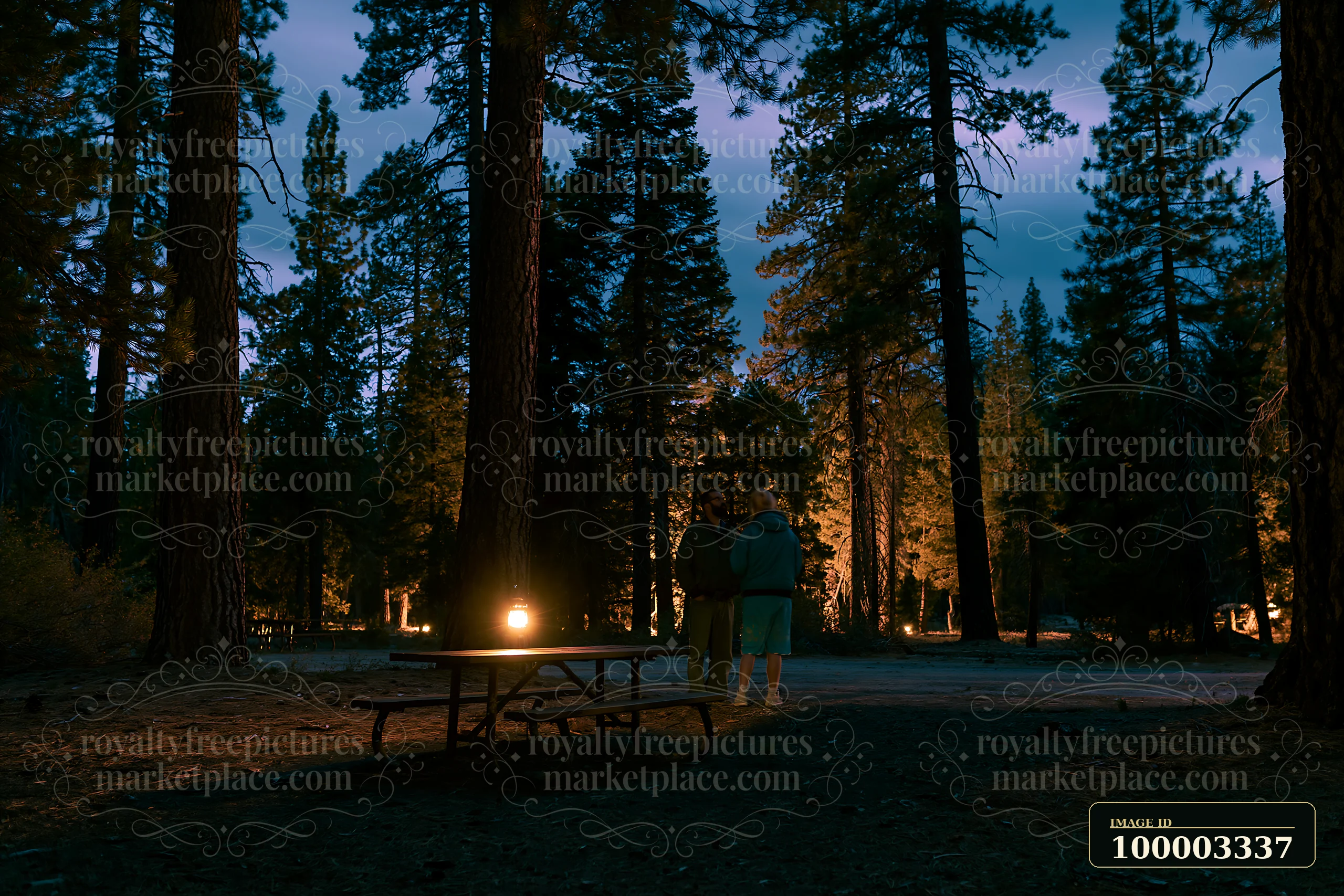 A couple stargazing in a national park stands near a picnic table surrounded by tall trees.