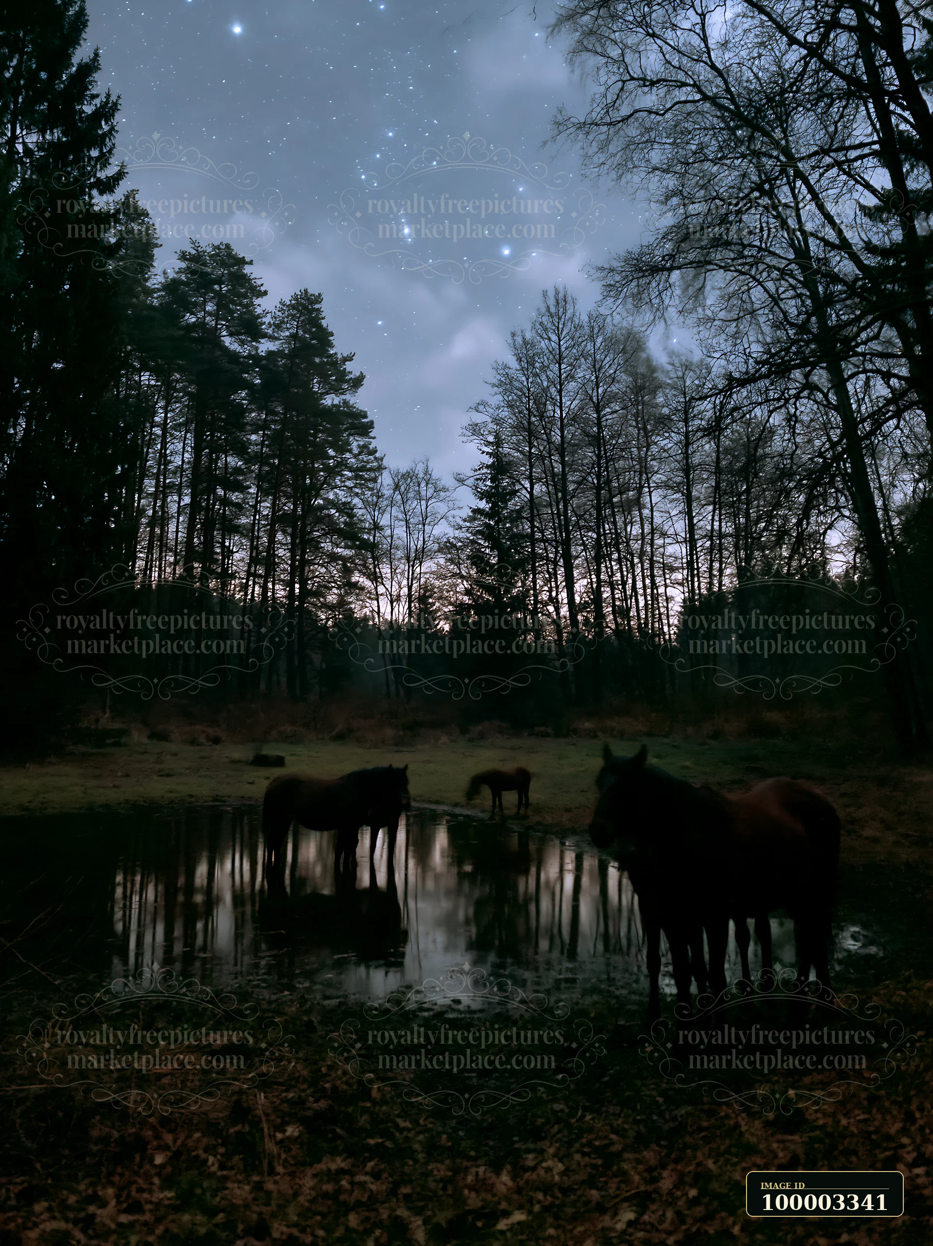 Horses stand by a water source in a dark forest under a starry sky.