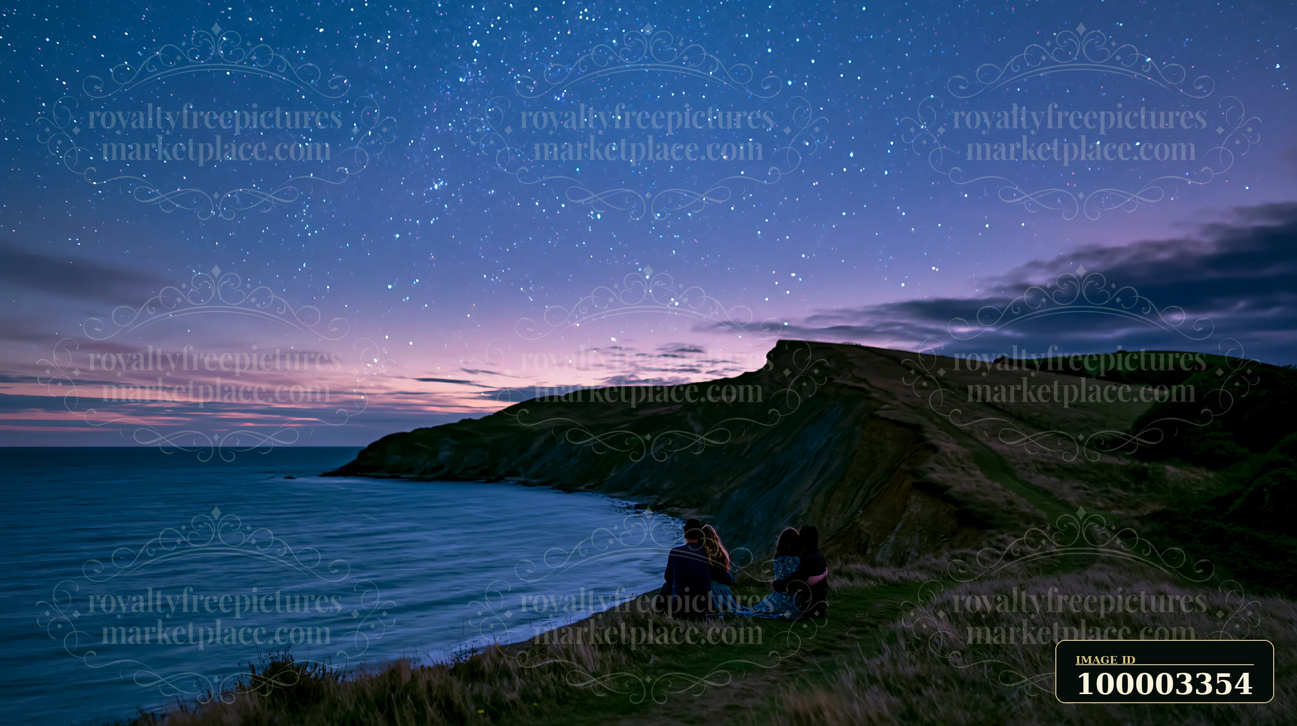 A couple embracing under a starry sky sits on a grassy cliff by the ocean.