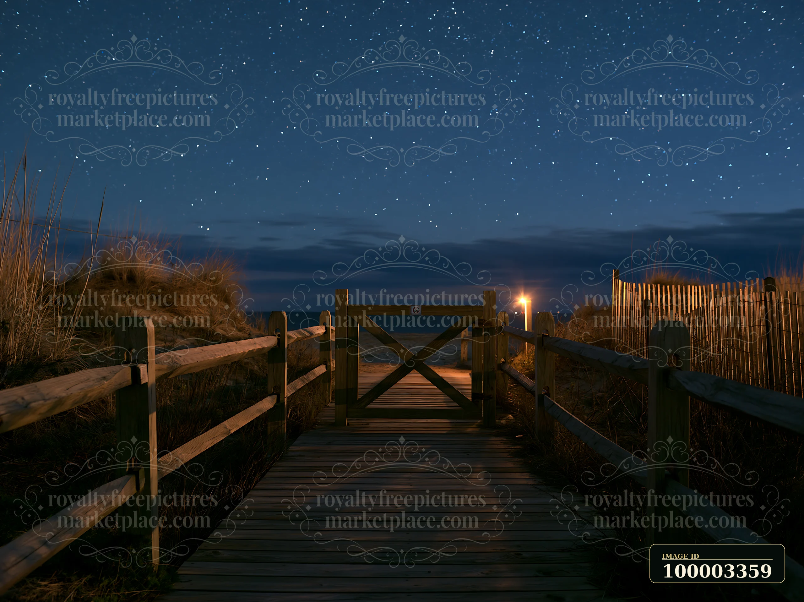 A wooden boardwalk leads to the beach under a starry night sky.