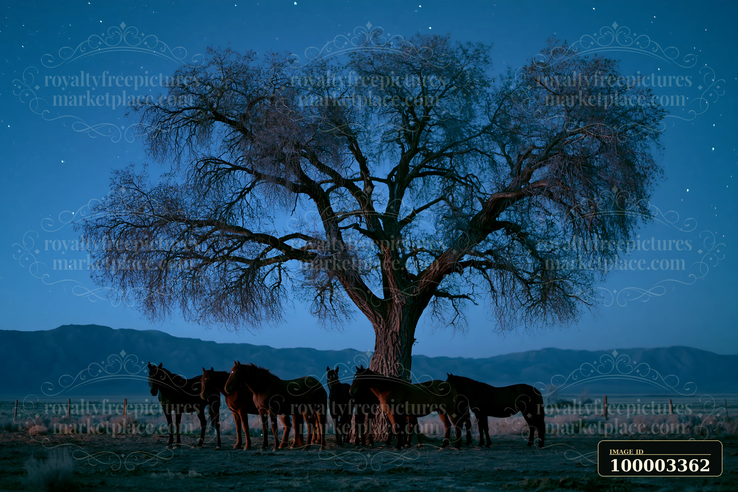 A group of wild horses stands together under a large tree against a night sky filled with stars and moonlight.