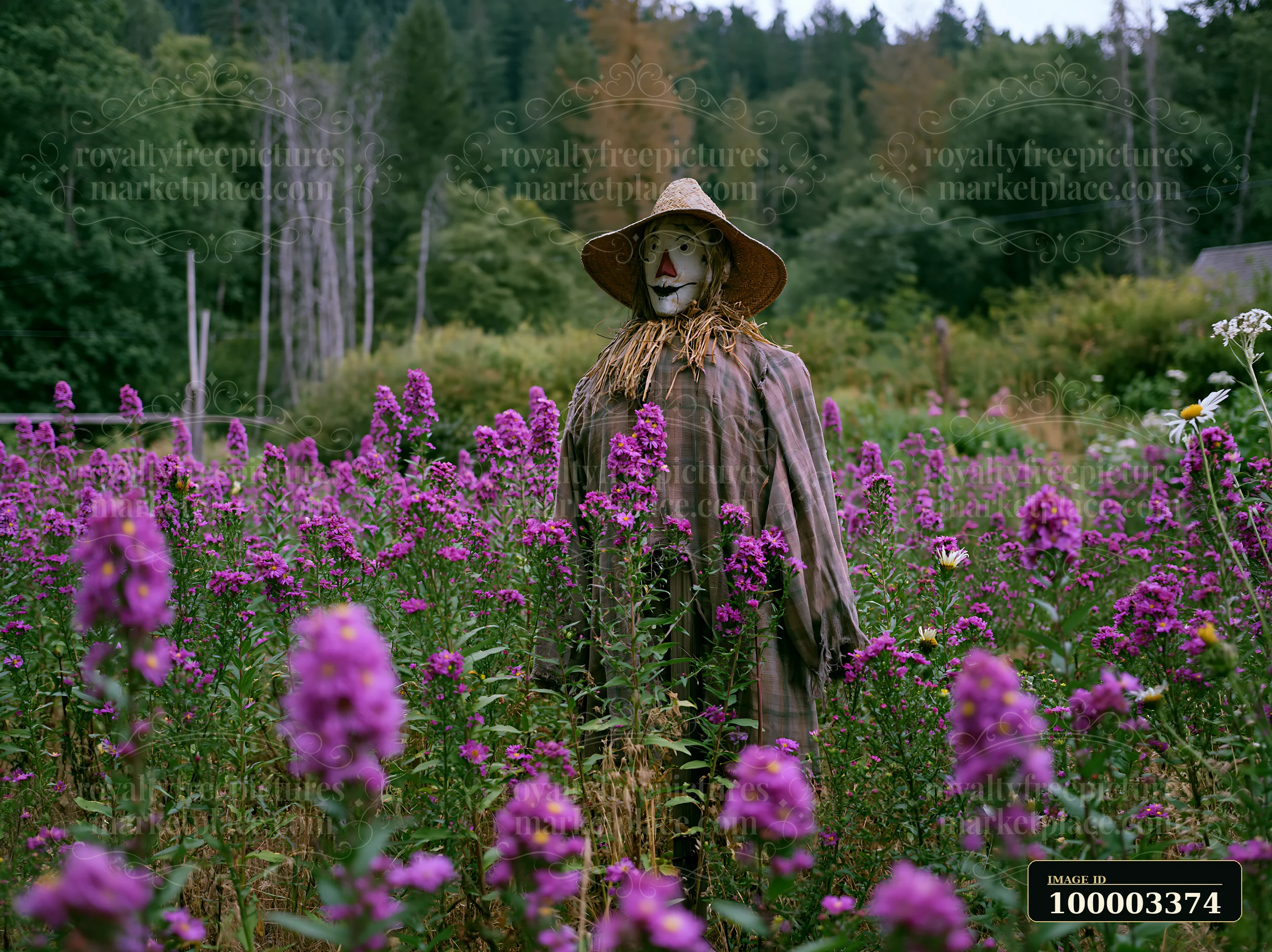 A scarecrow among blooming wildflowers stands in a vibrant field surrounded by green trees.