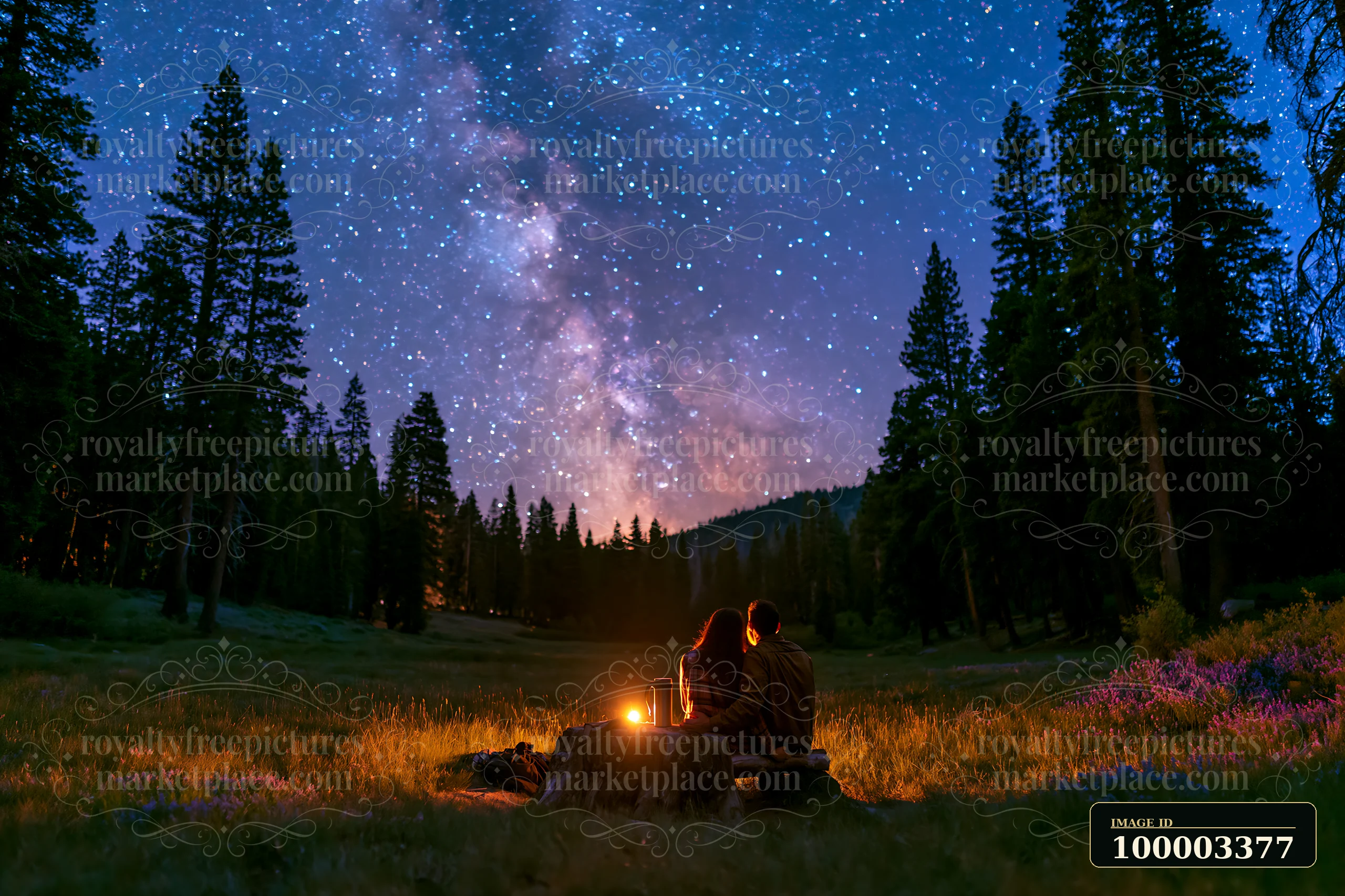 A couple sits on a log in a forest clearing, gazing at the bright Milky Way and stars above.