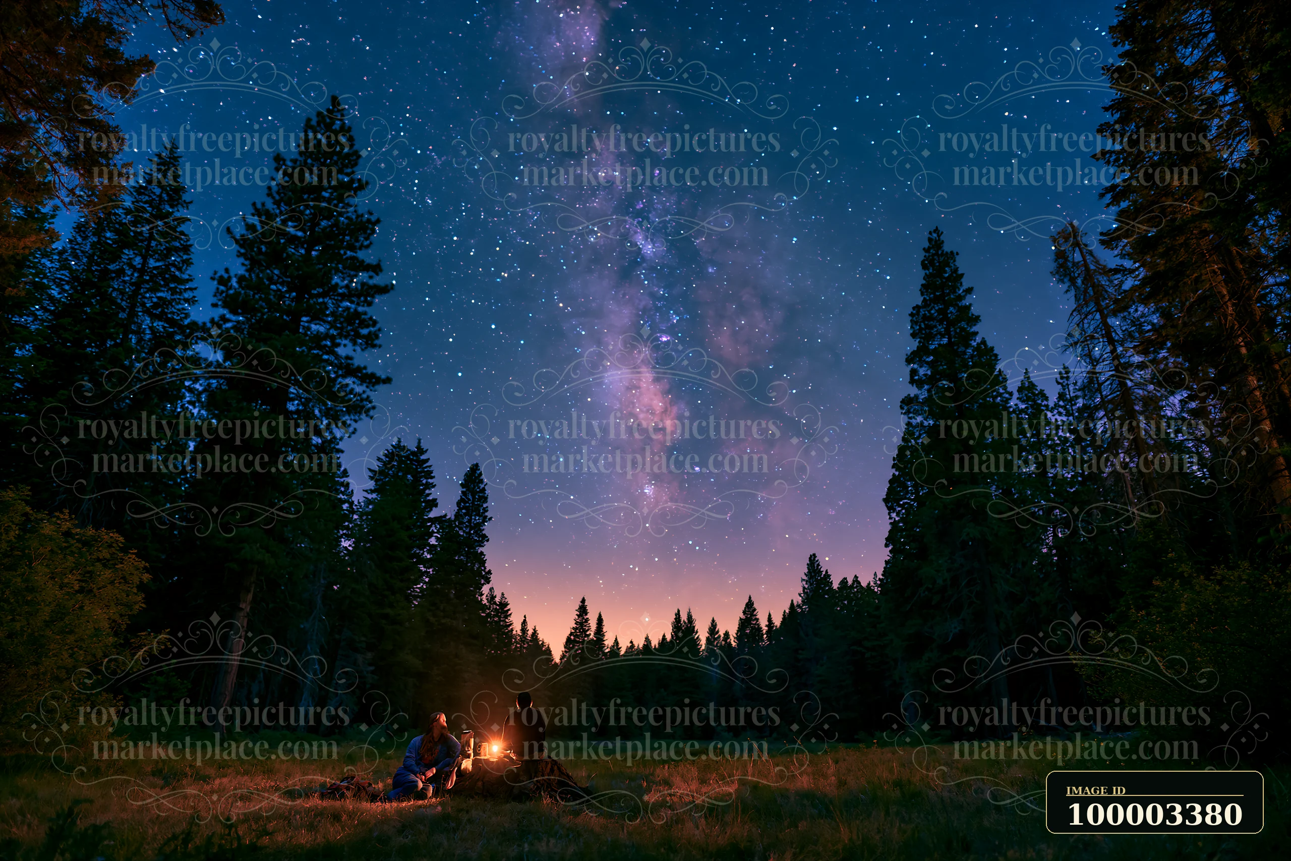 A couple sits by a campfire in a forest clearing, looking up at the Milky Way in the sky.