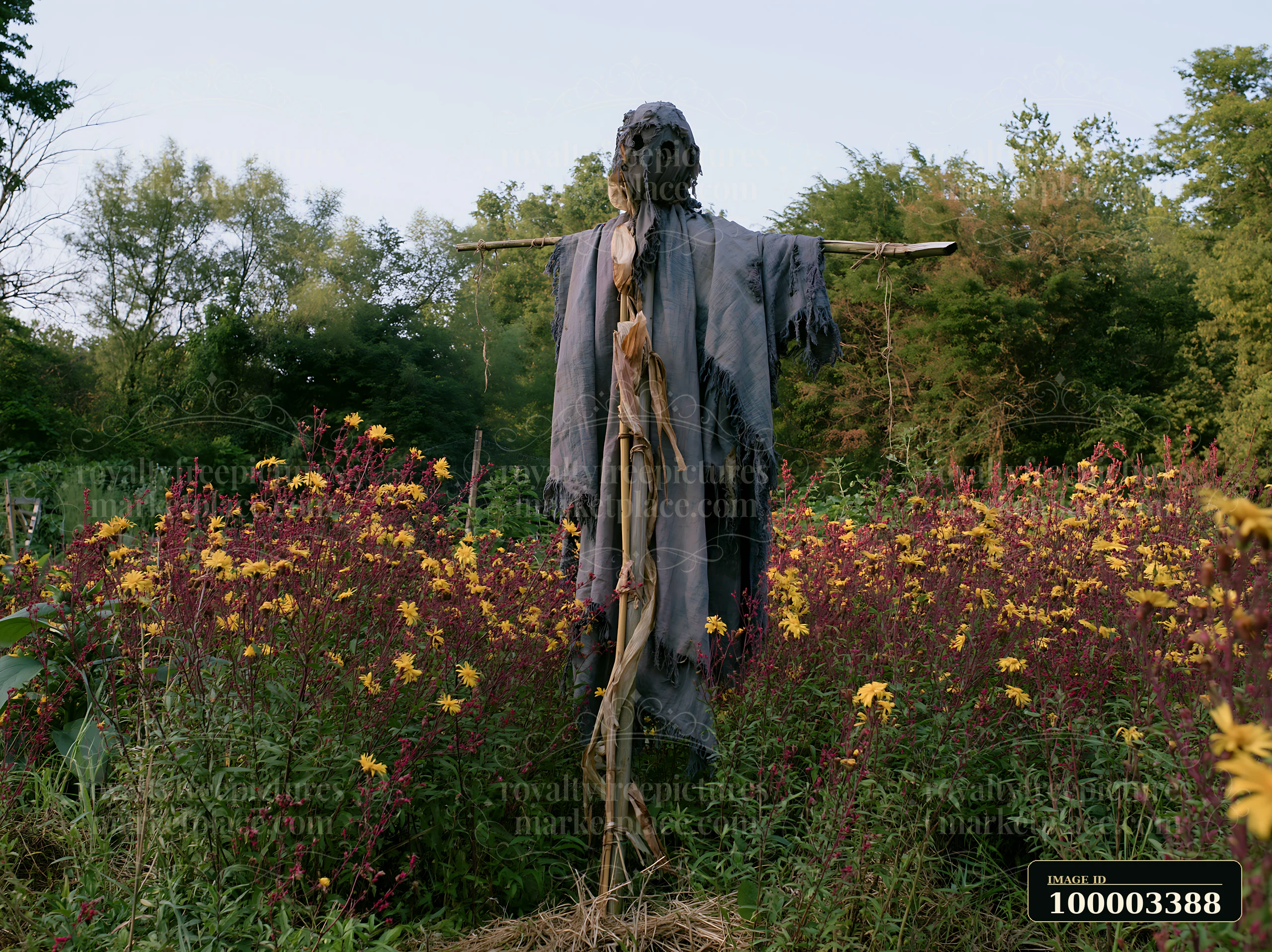 A scarecrow stands in a garden surrounded by blooming wildflowers during daytime.