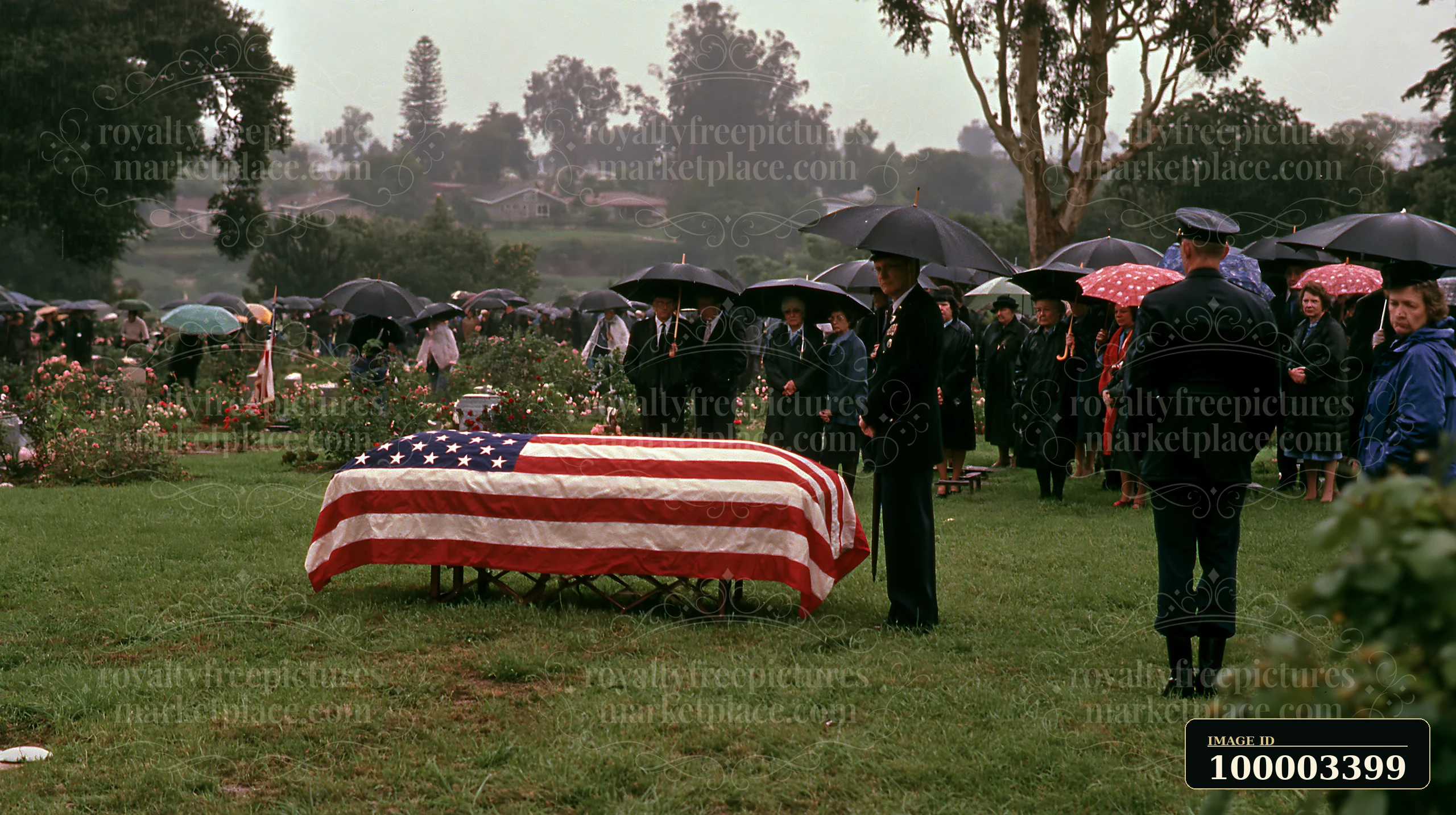 A flag-draped coffin during veteran funeral service is surrounded by mourners holding umbrellas in a cemetery.