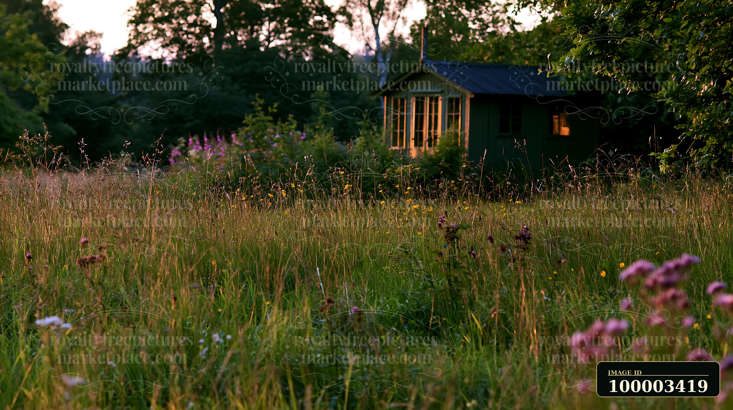 A small garden room stands at the edge of a grassy lawn as the sun sets, creating a warm glow.