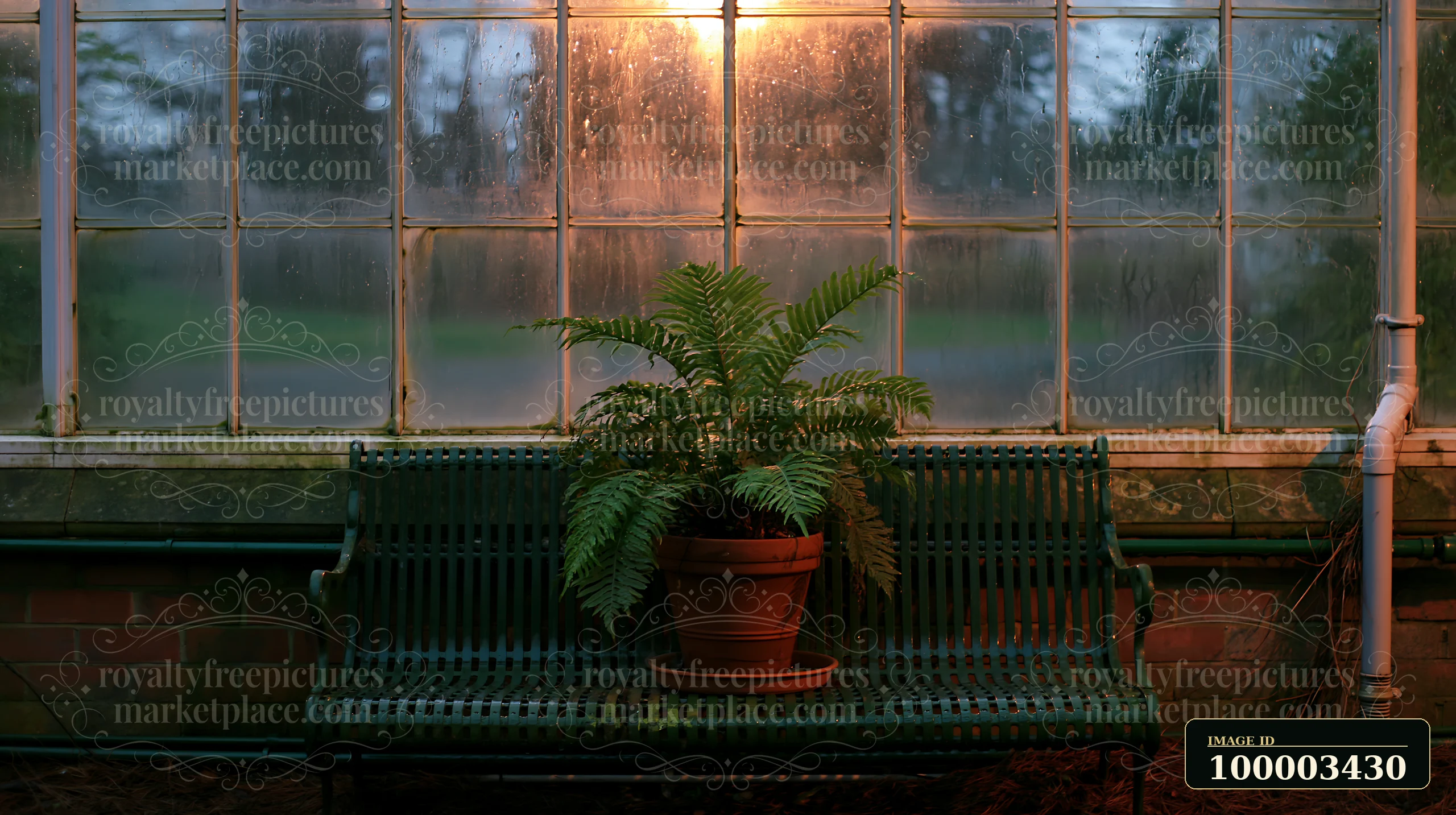A fern in a pot sits on a metal bench in an empty garden conservatory.