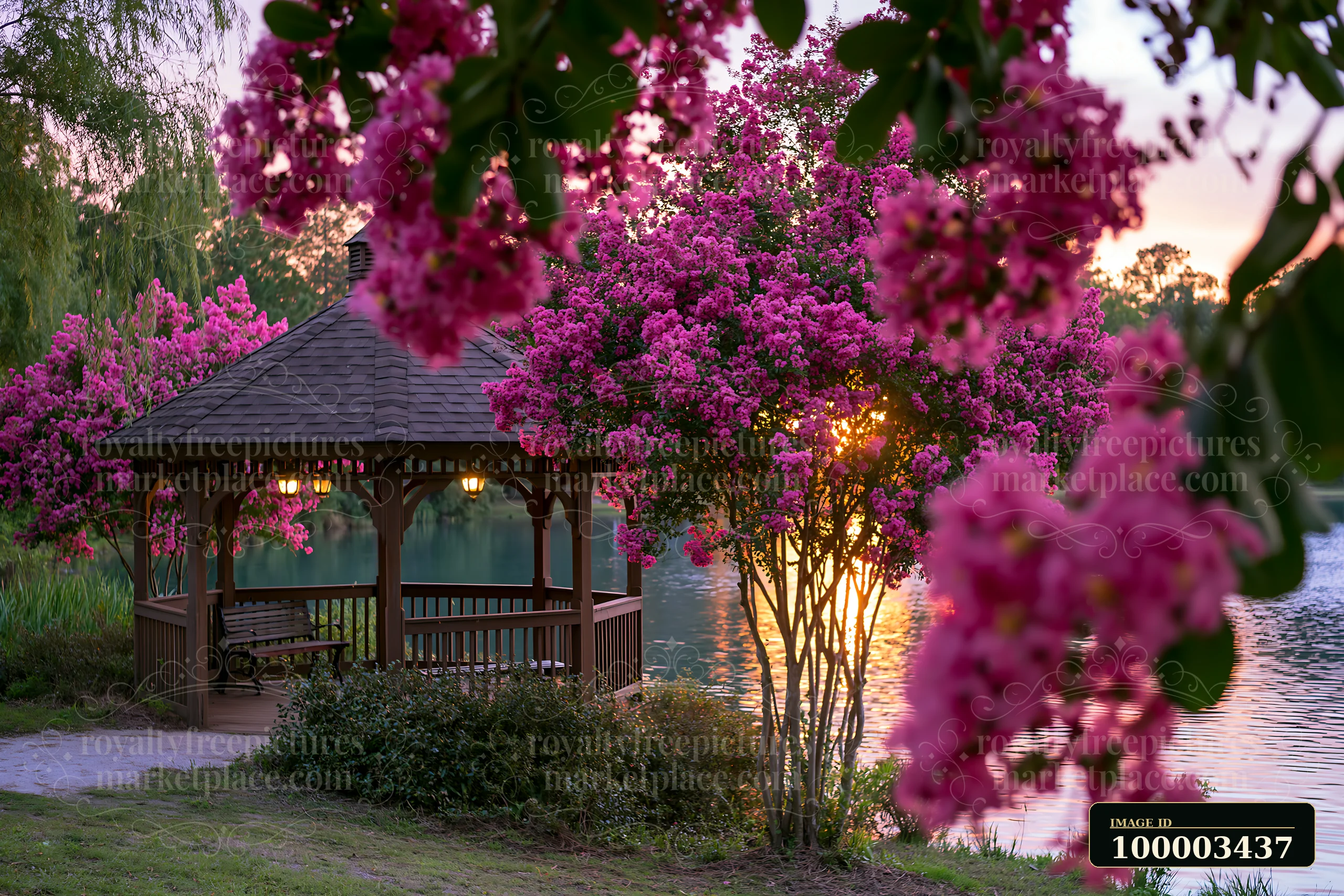 Pink flowering trees beside a lake create a scenic view near a wooden gazebo.