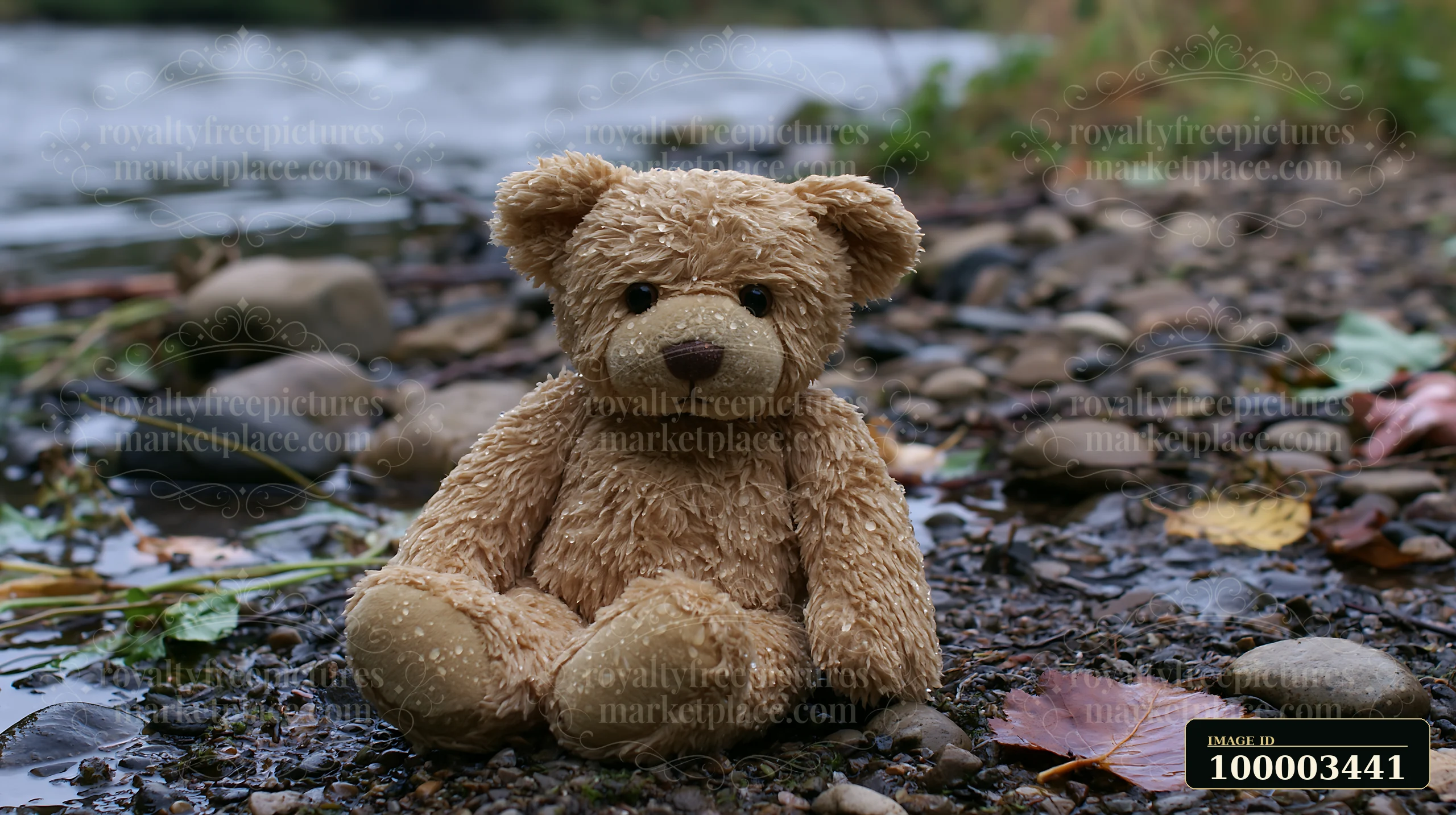 A teddy bear covered in water droplets outdoors sits on a gravel surface near a river.
