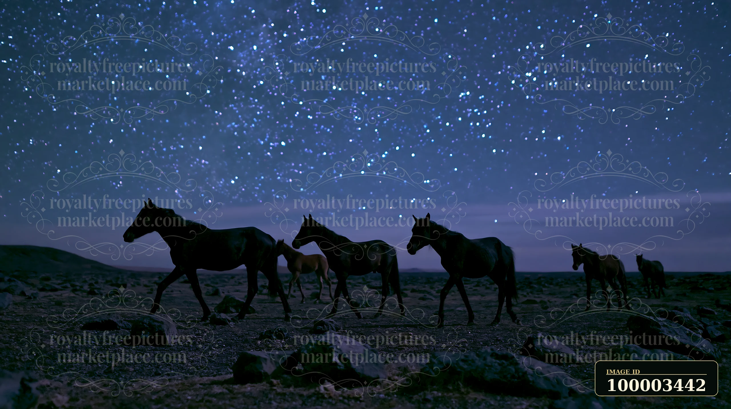 Wild horses walk beside volcanic rocks under a starry sky in this night scene.