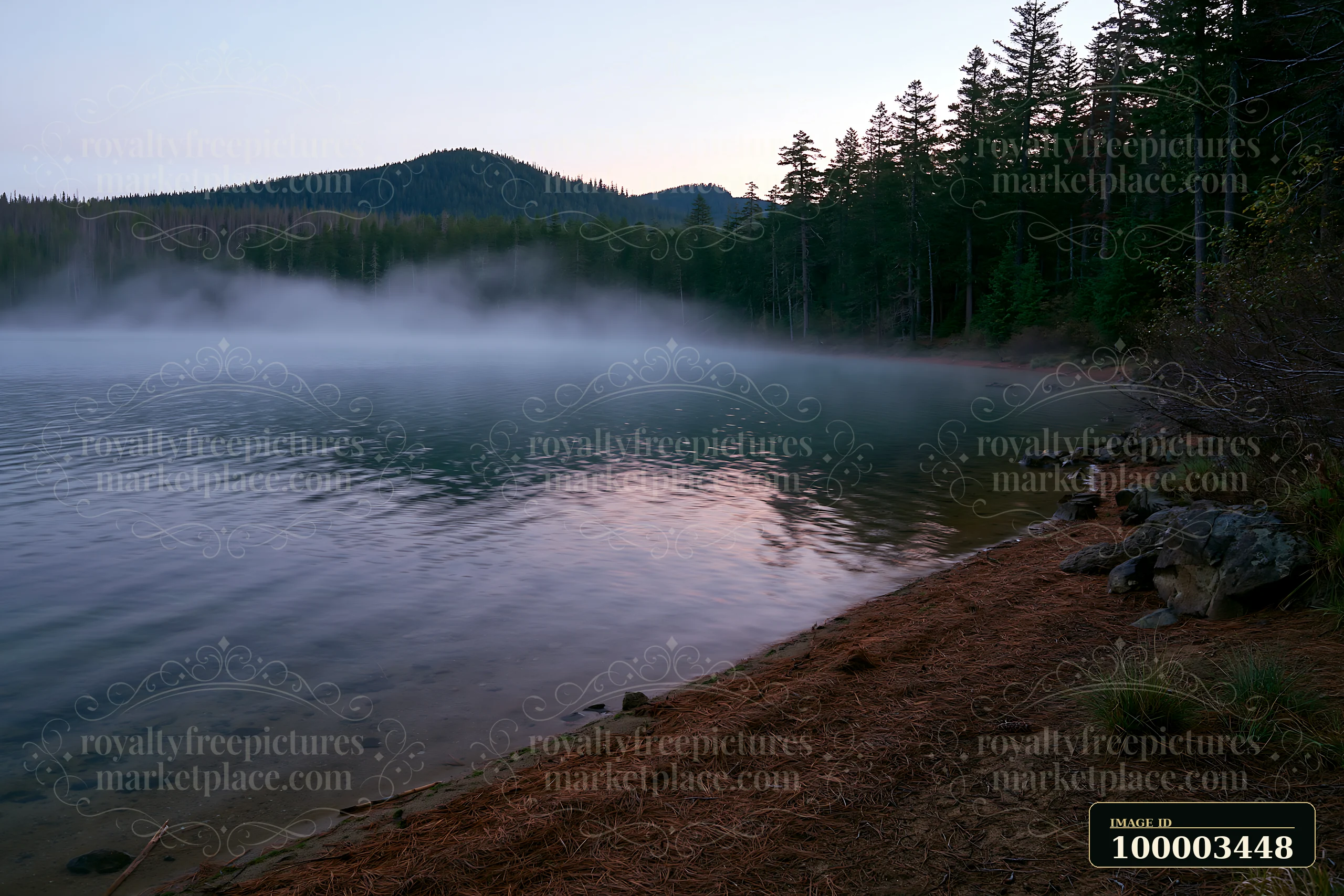 Fog drifts through a mountain pine forest near a calm lake during early morning.