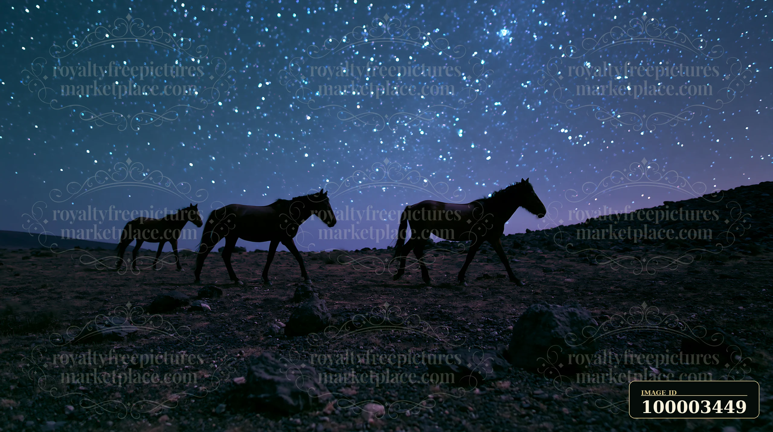 Three wild horses move across a rocky landscape under a multitude of stars.