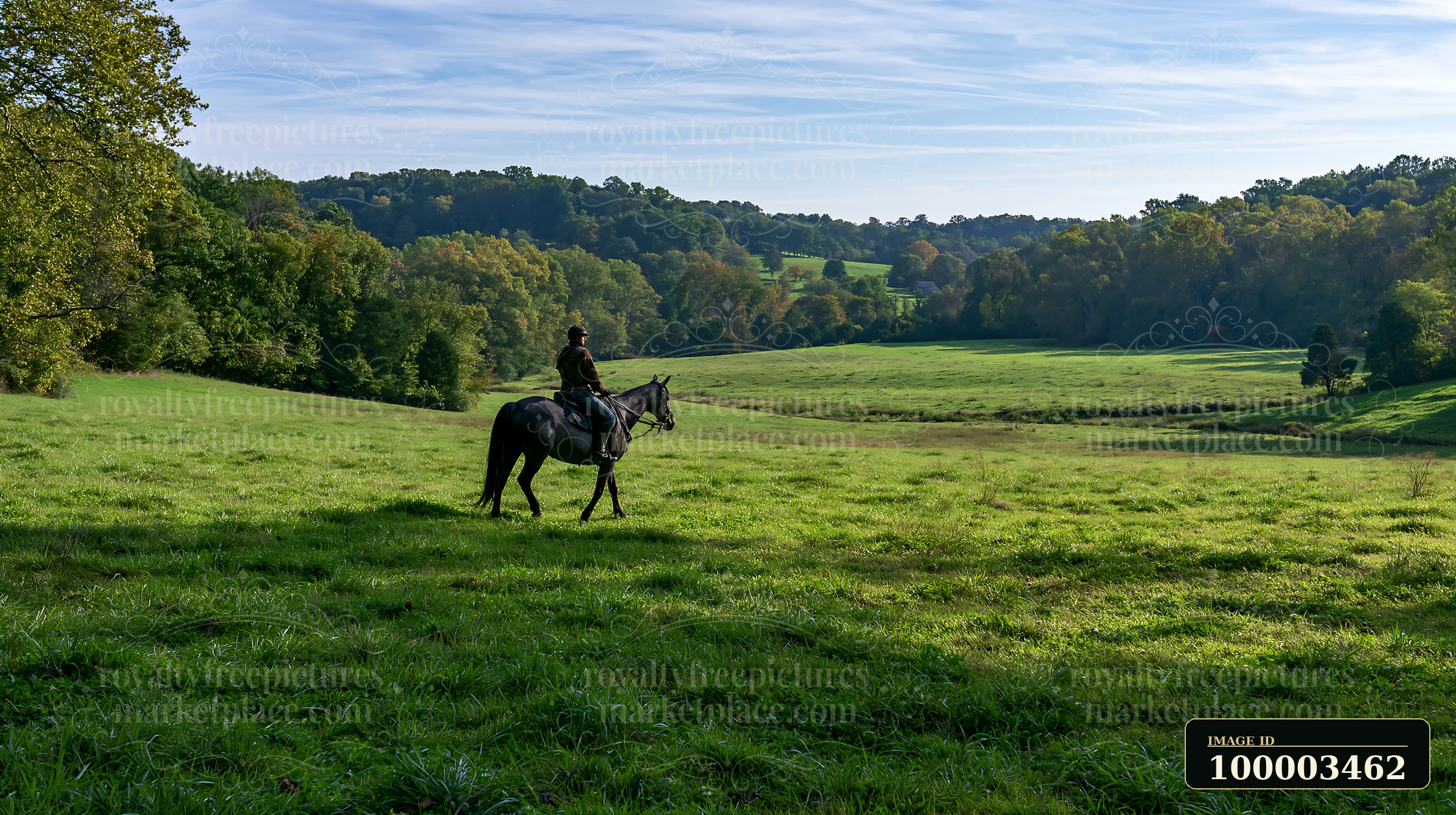 A person rides a horse across a lush green field surrounded by trees and hills.