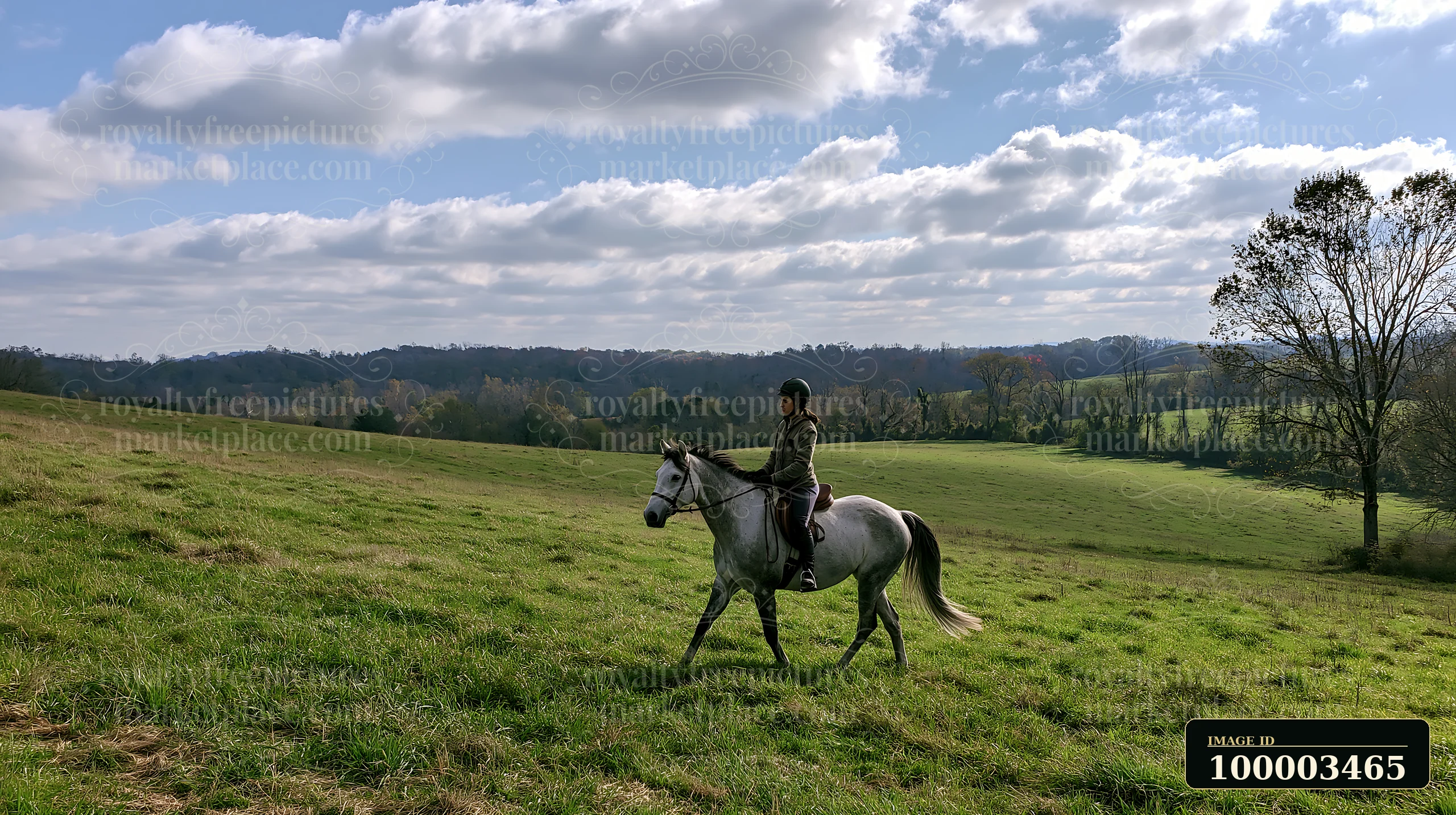 A rider on a gray horse practices mounted cavalry training in a wide green field under a cloudy sky.
