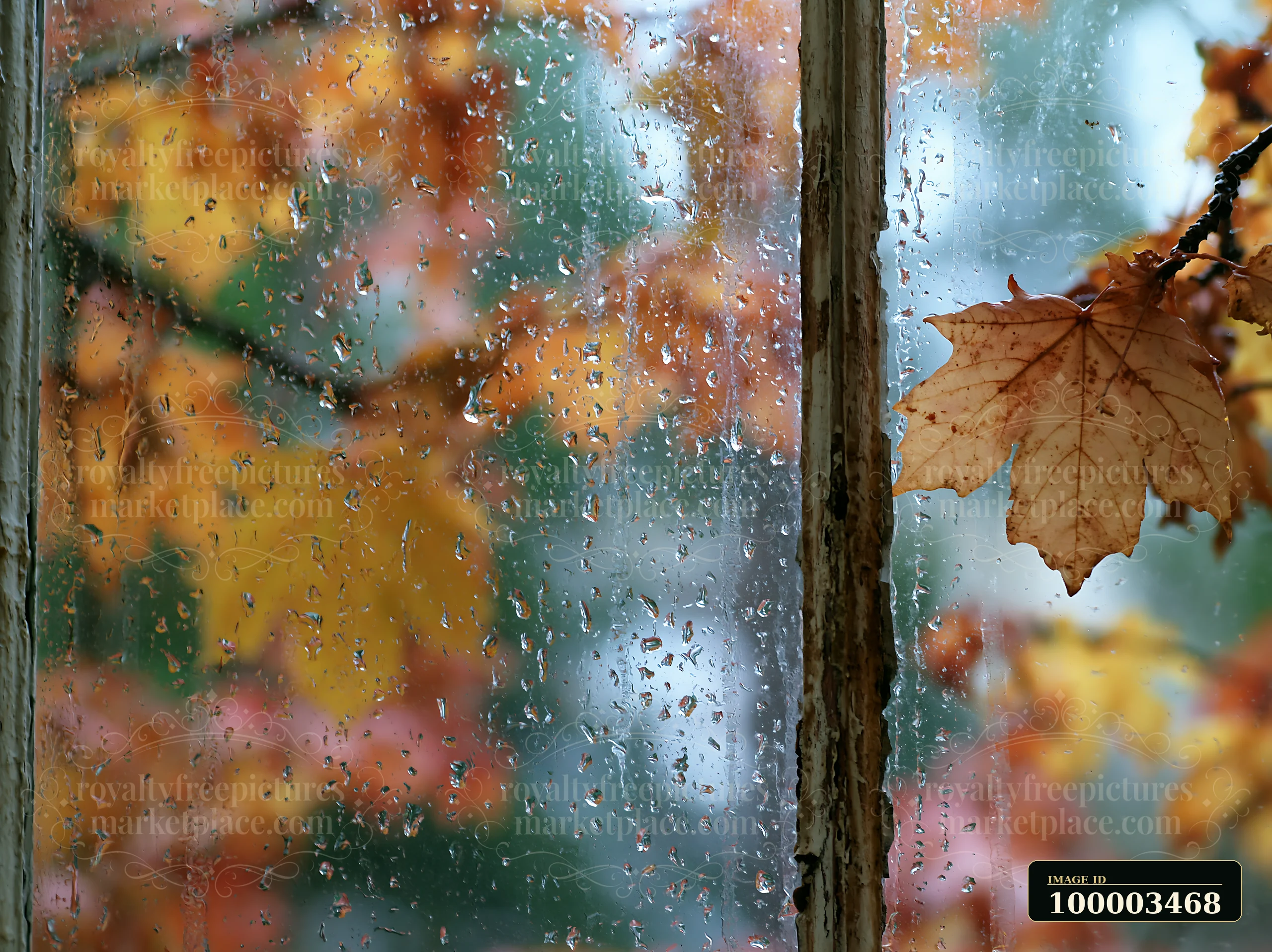 Raindrops collect on a rustic window pane, revealing colorful autumn leaves outside.